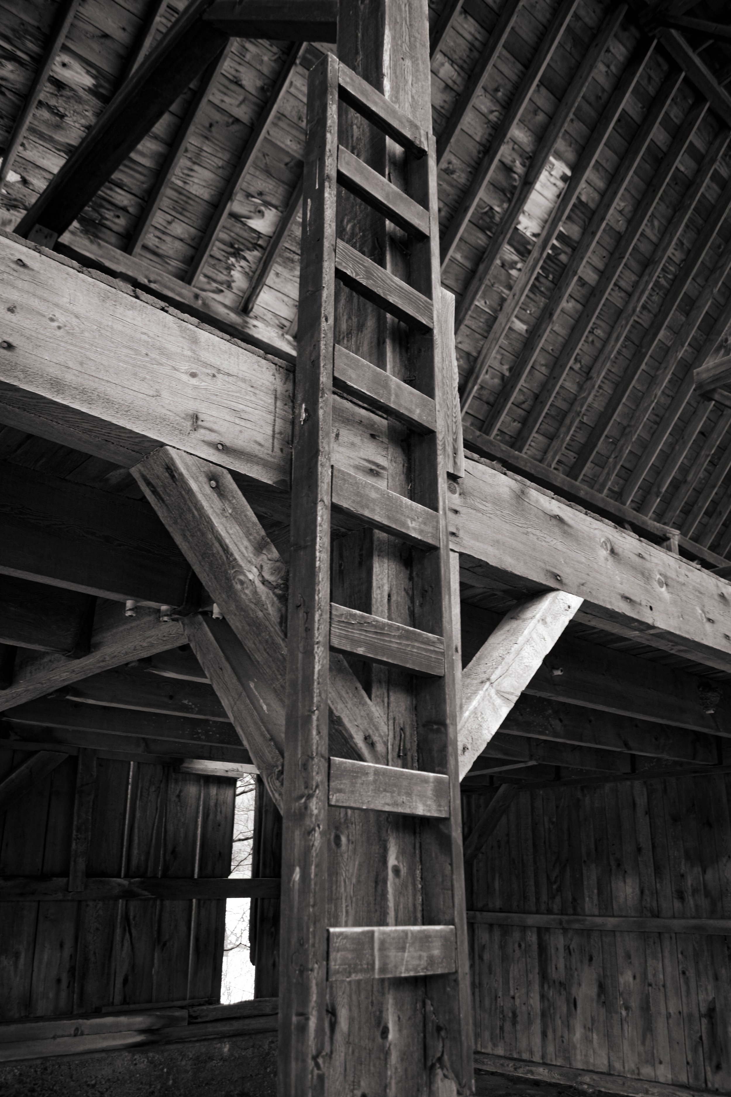 DSC_1071-2.jpg