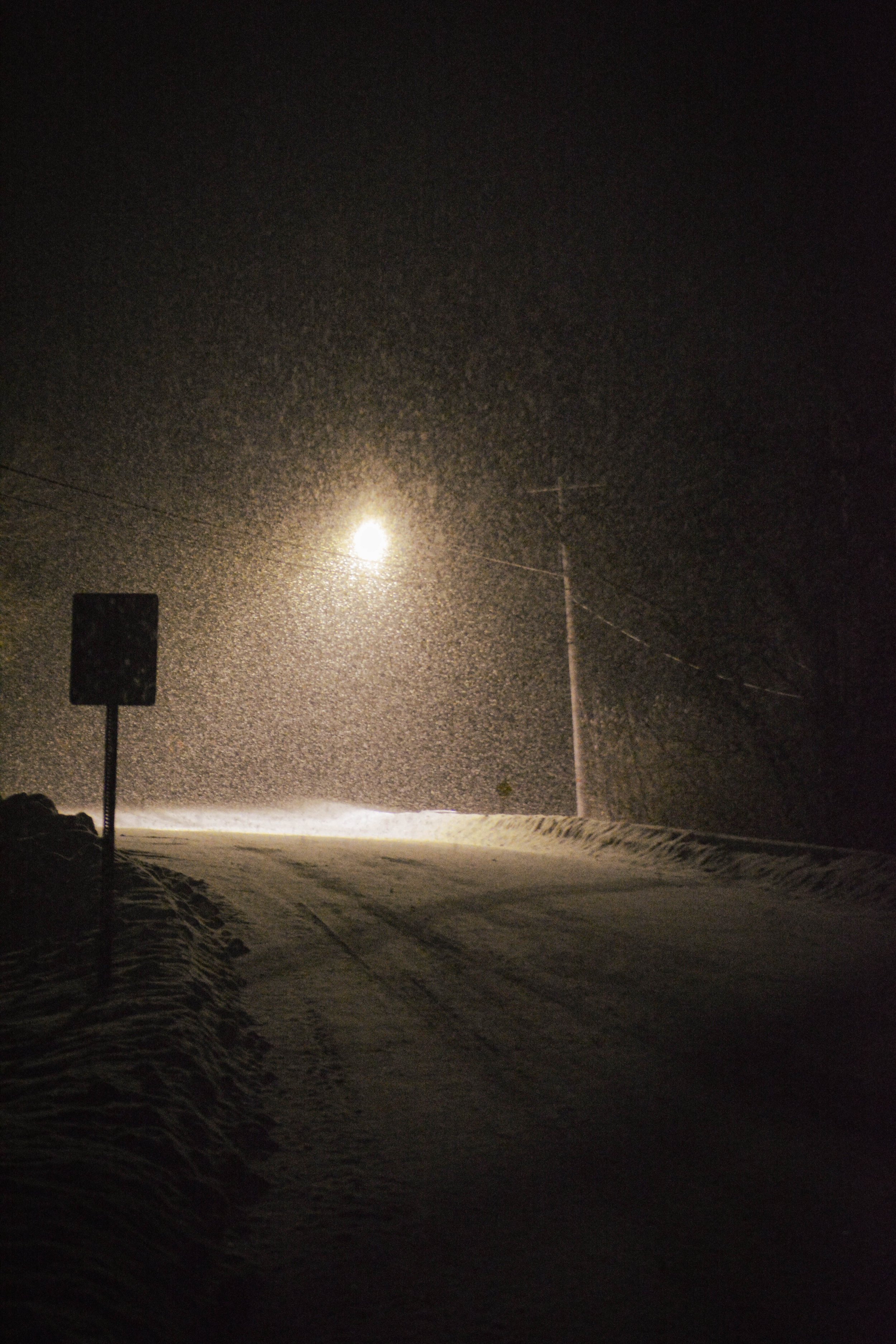 DSC_0286.jpg