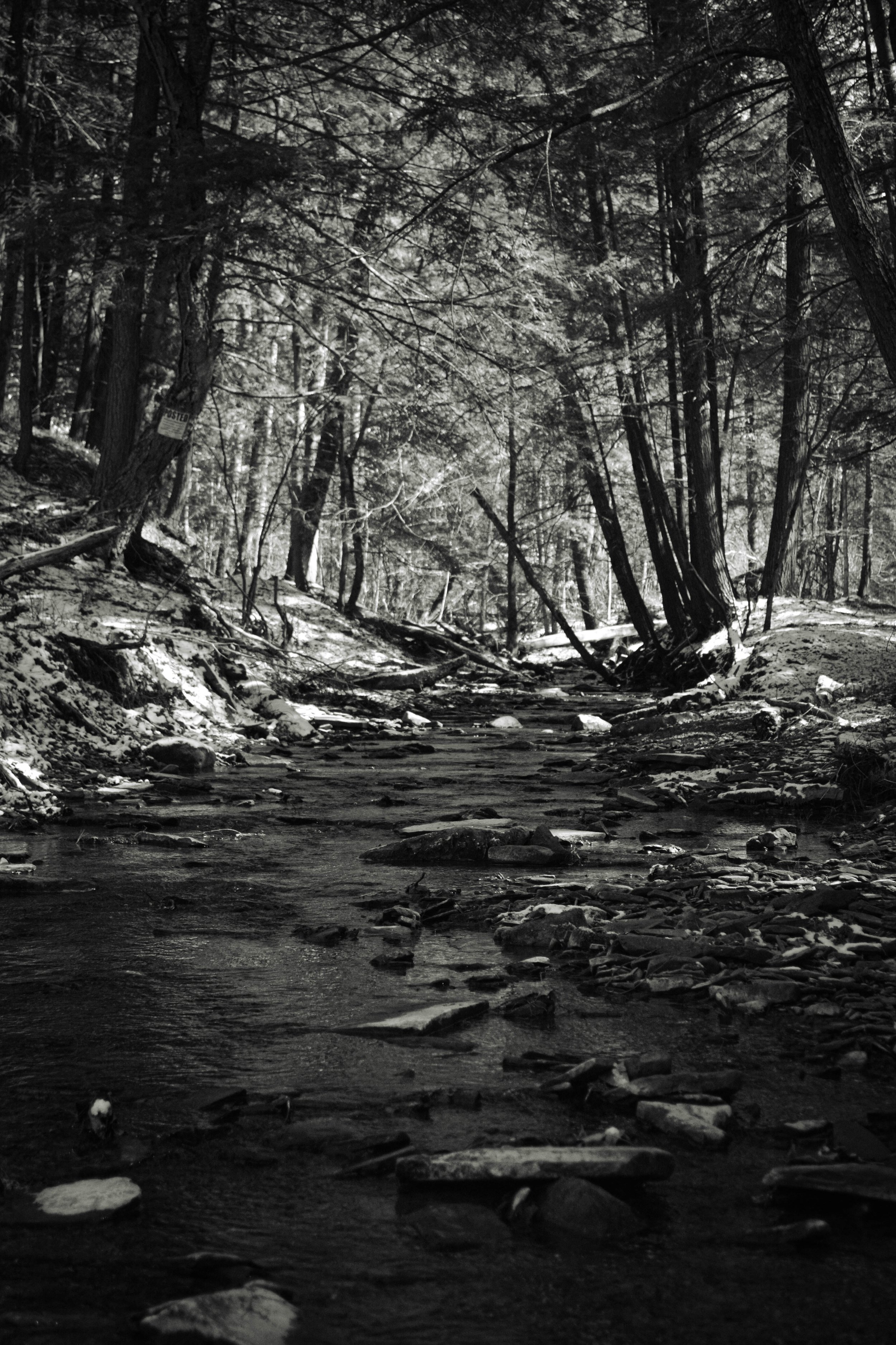 DSC_0132-2.jpg