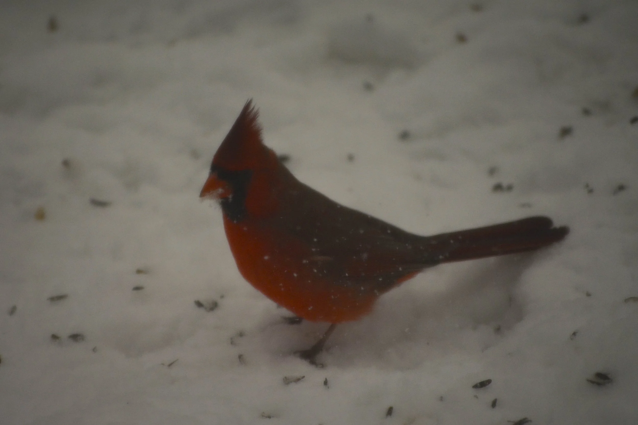 DSC_0845.jpg