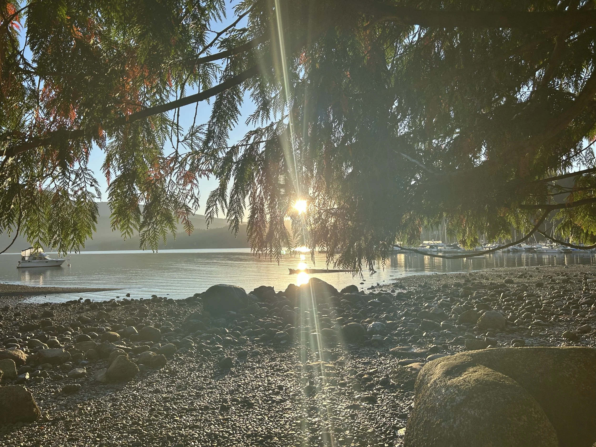 A tranquil lakeside scene with a rocky shore and a small boat on the water, partially obscured by tree branches with sunlight filtering through.