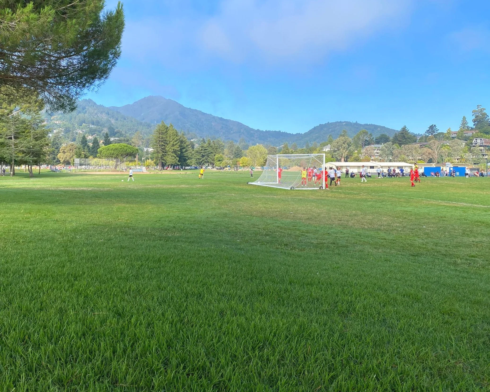A large grassy field with children playing soccer, a goalpost, and a group of spectators in the background. Tall trees and mountains are visible in the distance under a partly cloudy sky.