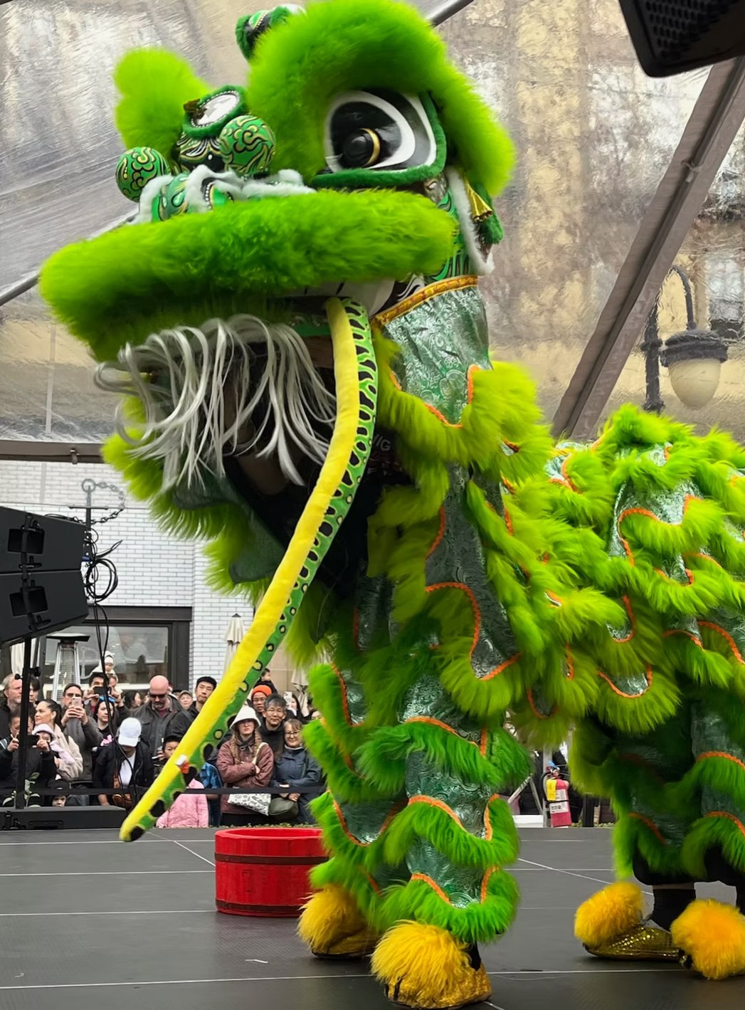 Neighborhood Lion Dance