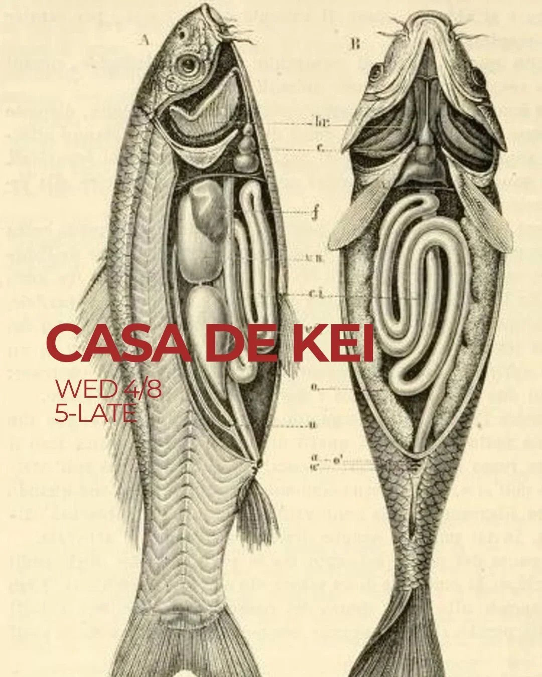 Casa De Kei