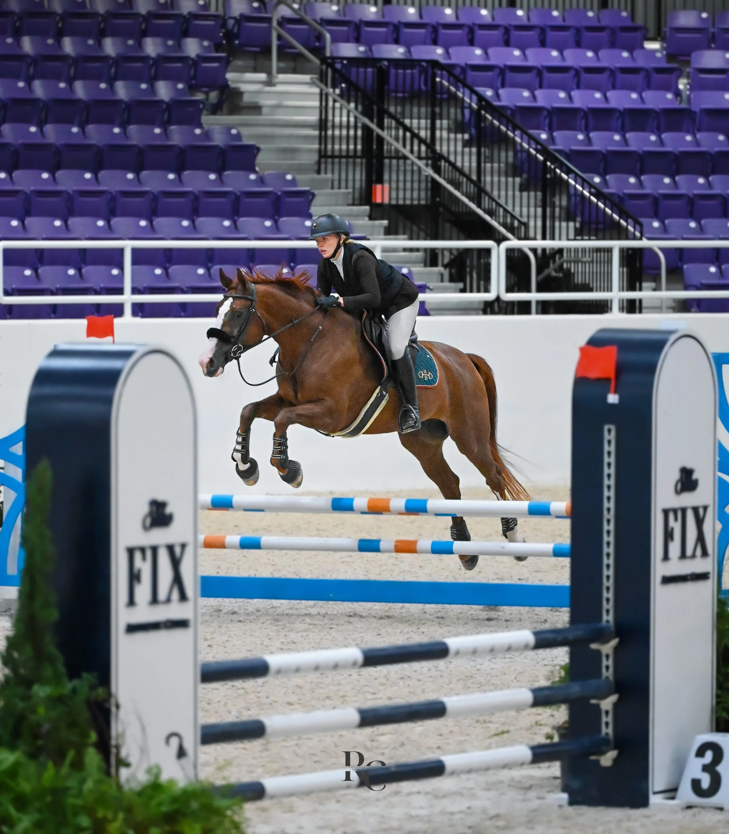 A rider on a brown horse jumping over a blue and orange obstacle in an indoor equestrian arena with purple seats in the background.