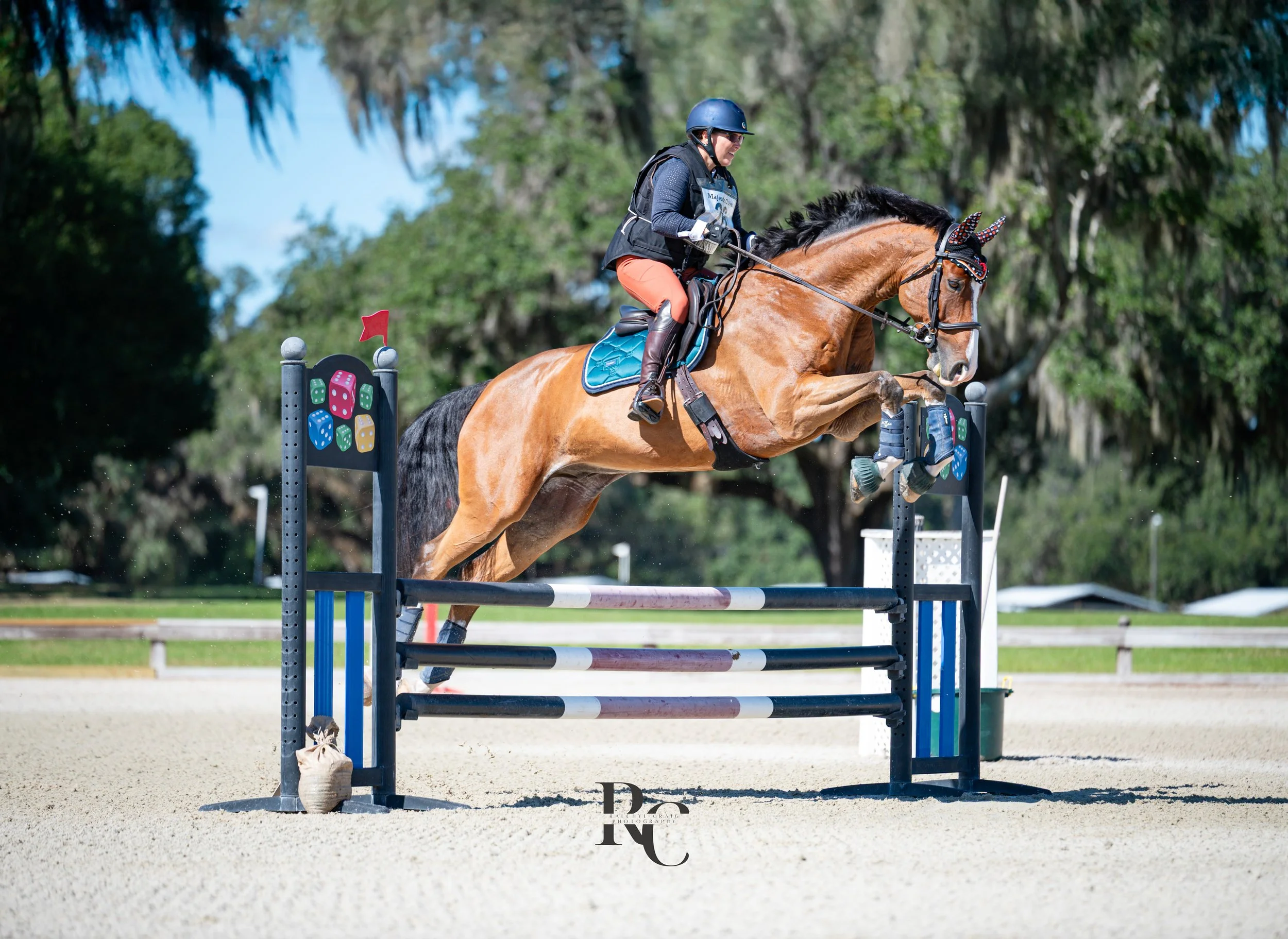 A female equestrian rider on a brown horse jumping over a show jumping obstacle during daytime. The obstacle has colored dice-themed decorations. The background shows trees and a clear sky.