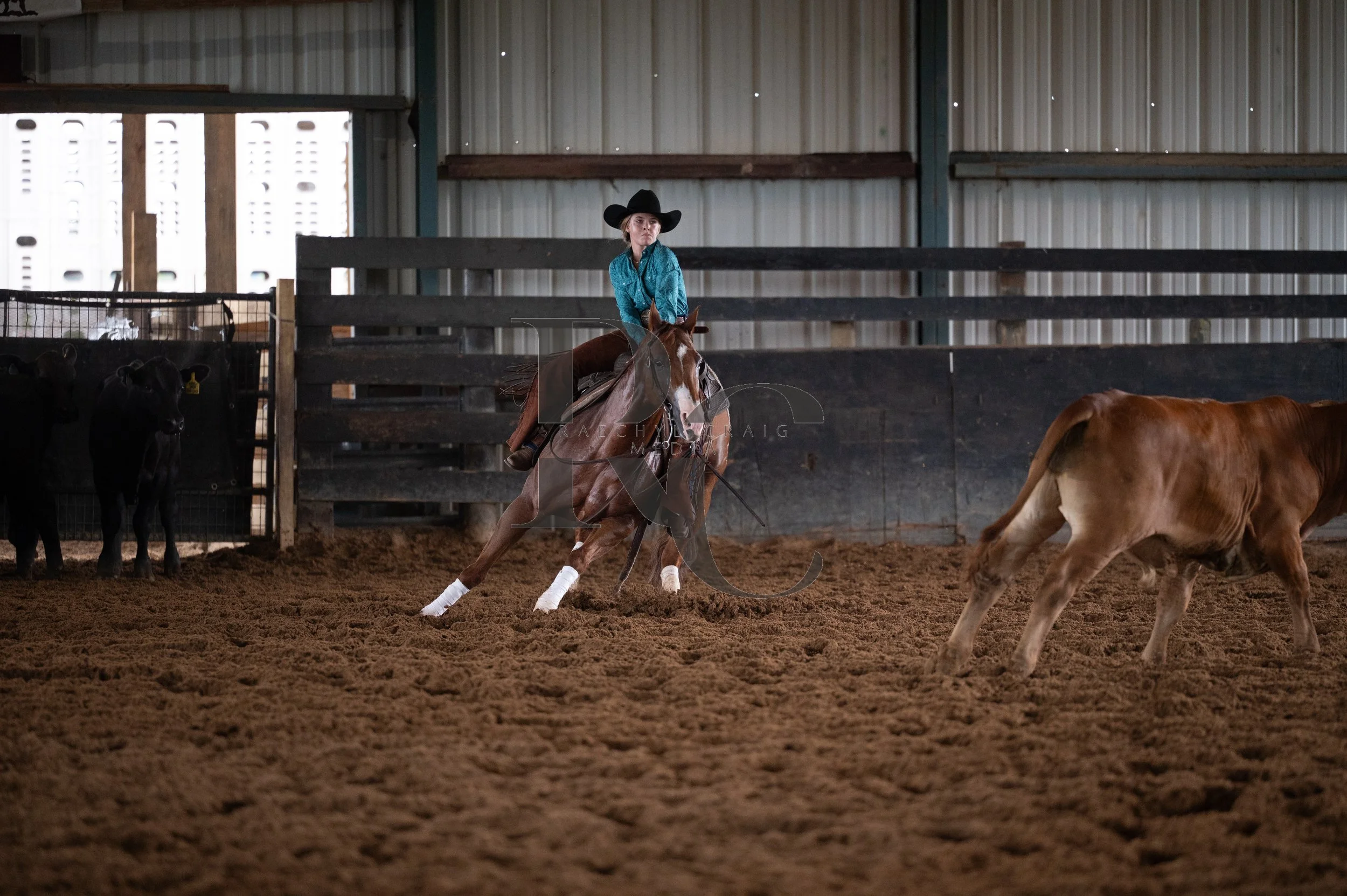 RHC_0413.jpg