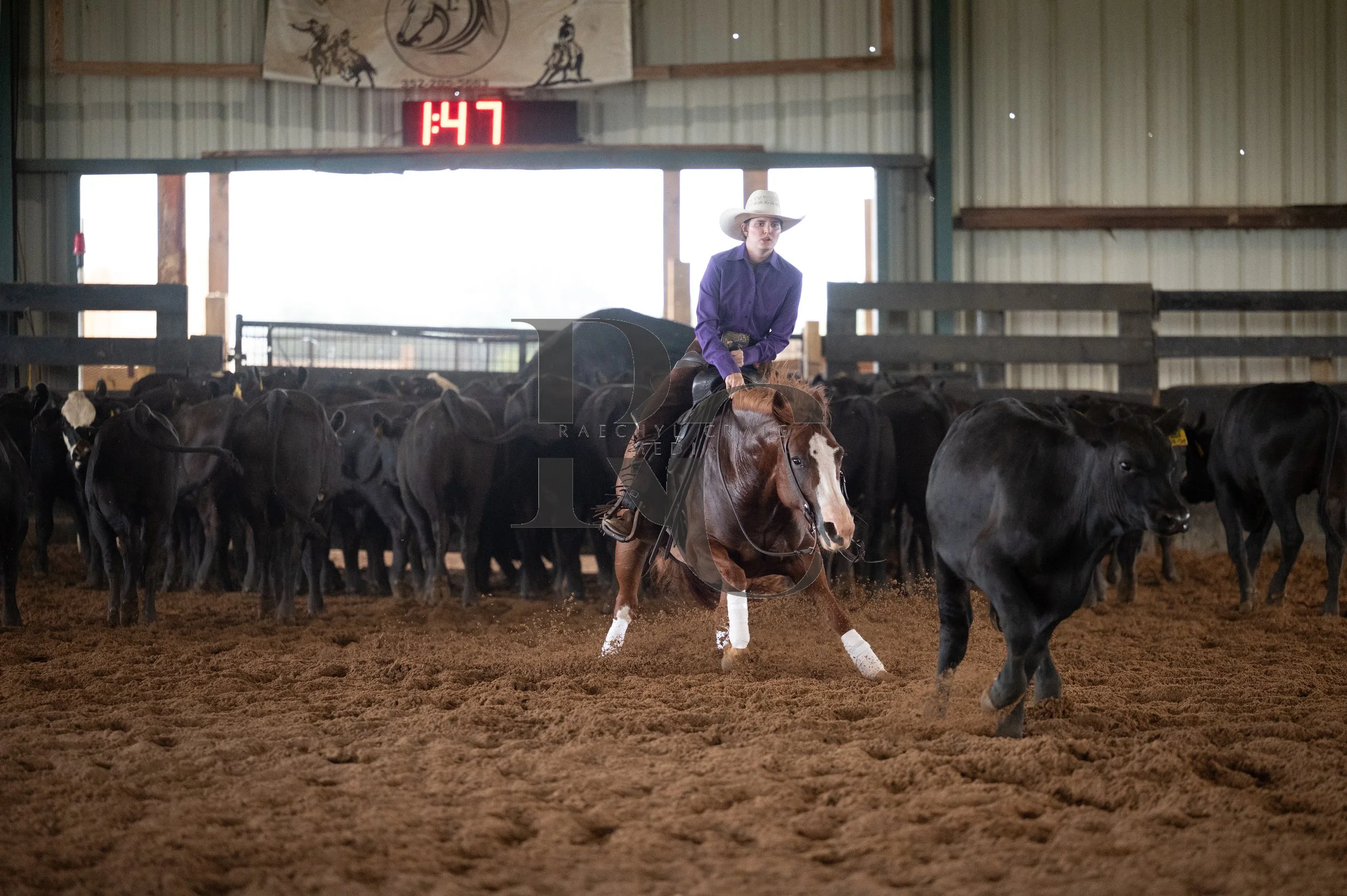 RHC_6240.jpg