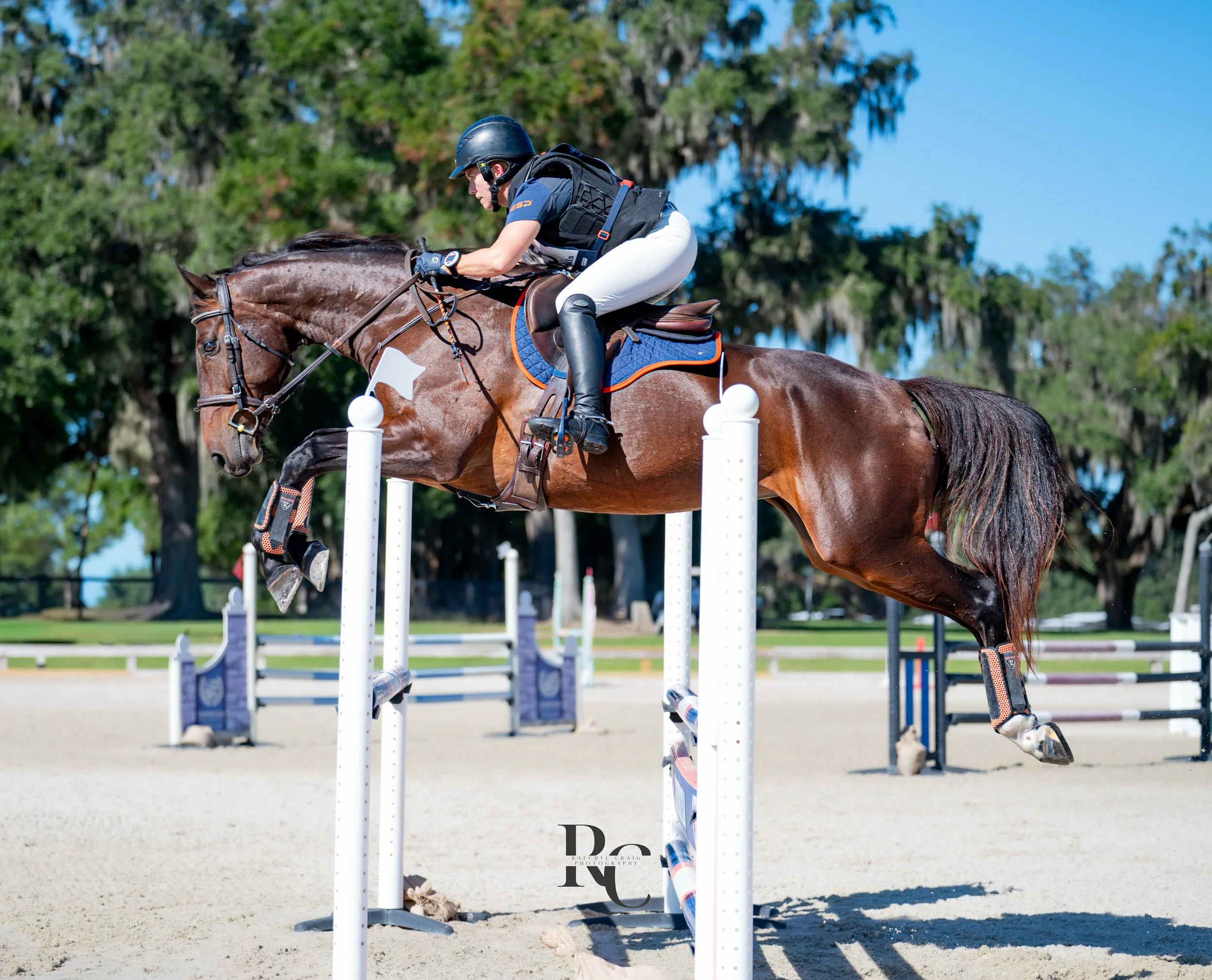 A rider in equestrian gear jumps over a hurdle on a brown horse during a show jumping event.