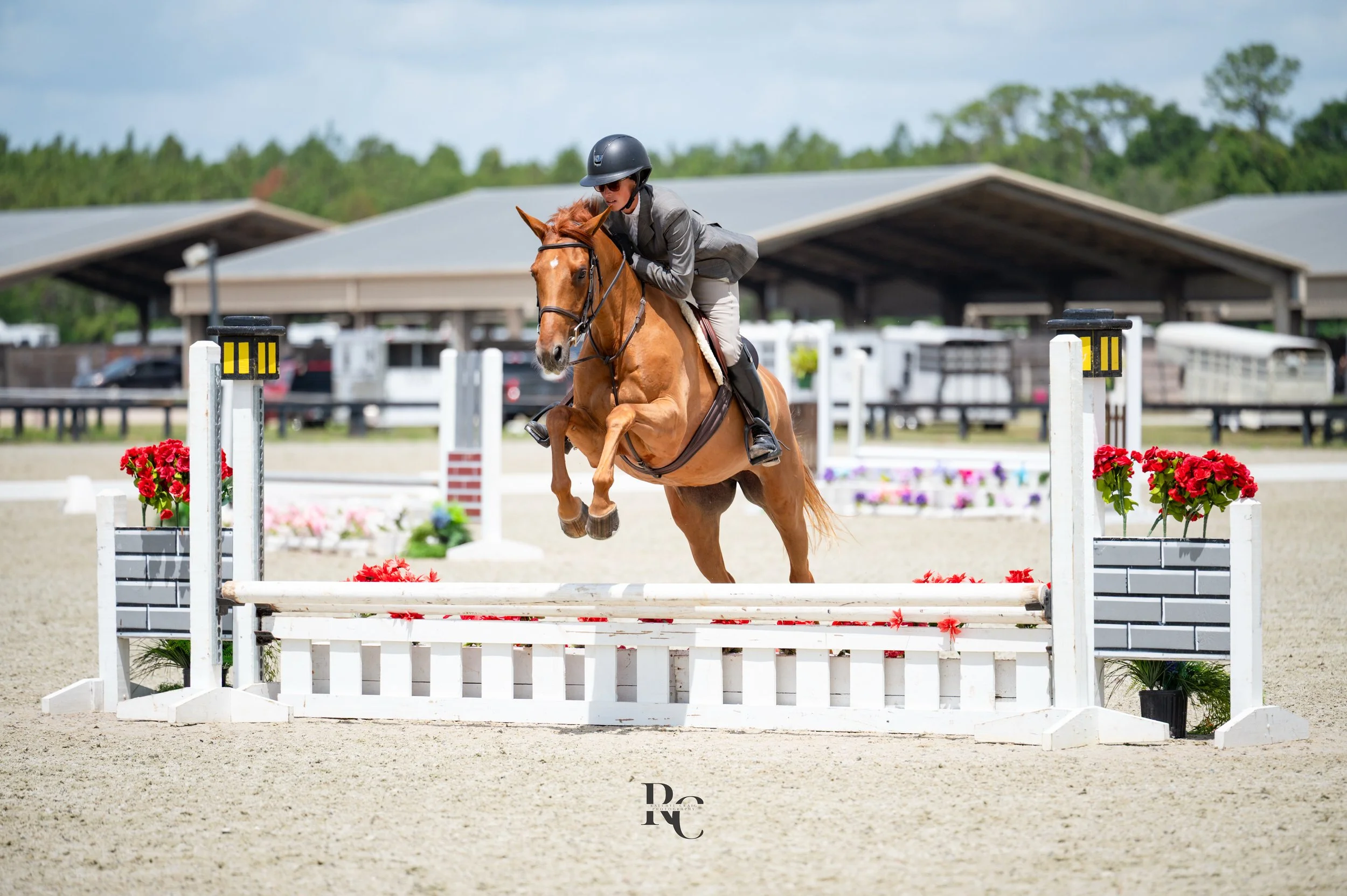 A rider wearing a helmet and jacket guides a chestnut horse over a show jumping obstacle decorated with red flowers at an outdoor equestrian arena.