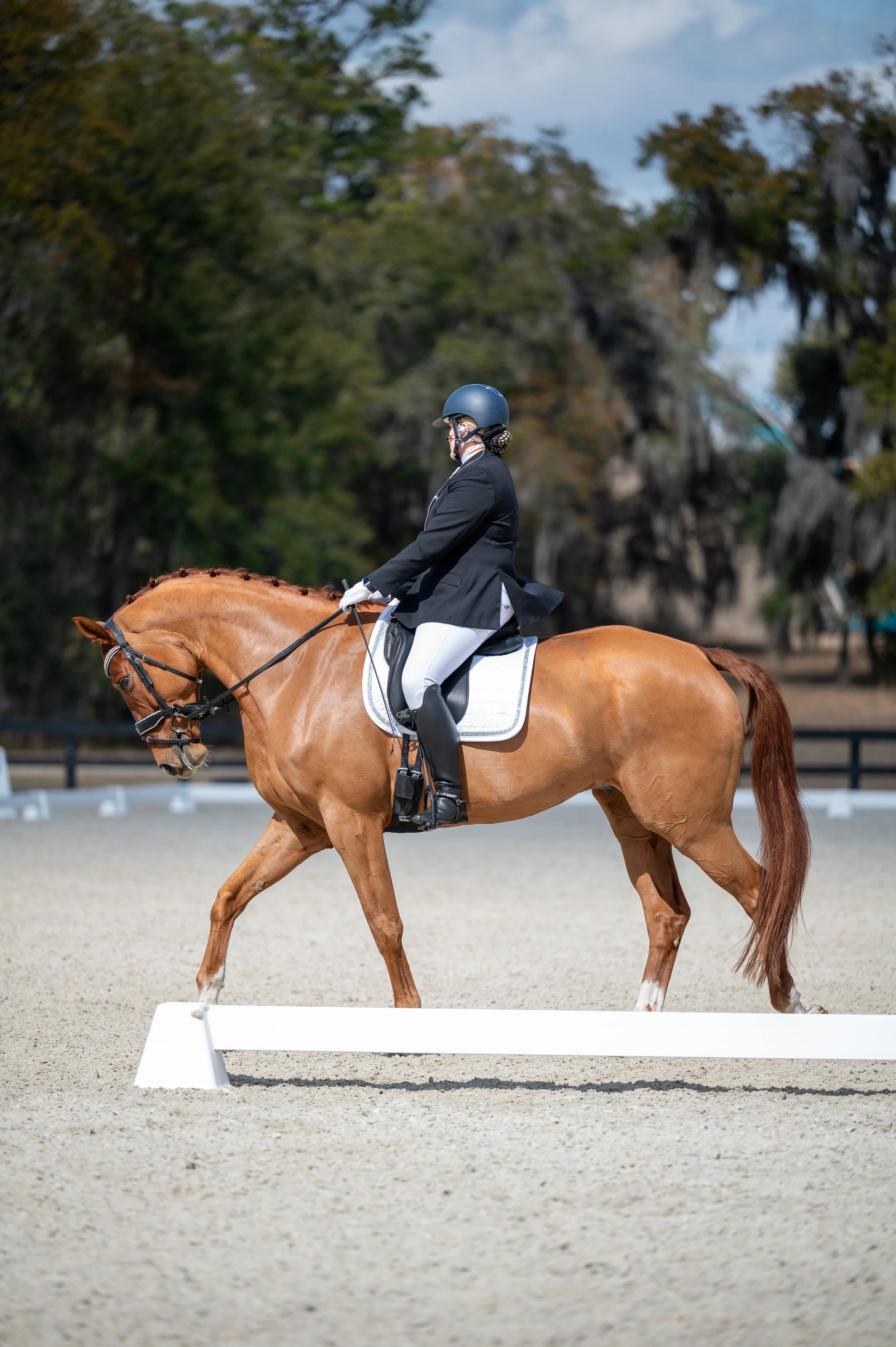 A person dressed in equestrian riding attire riding a chestnut horse on a sand arena, with trees and cloudy sky in the background.