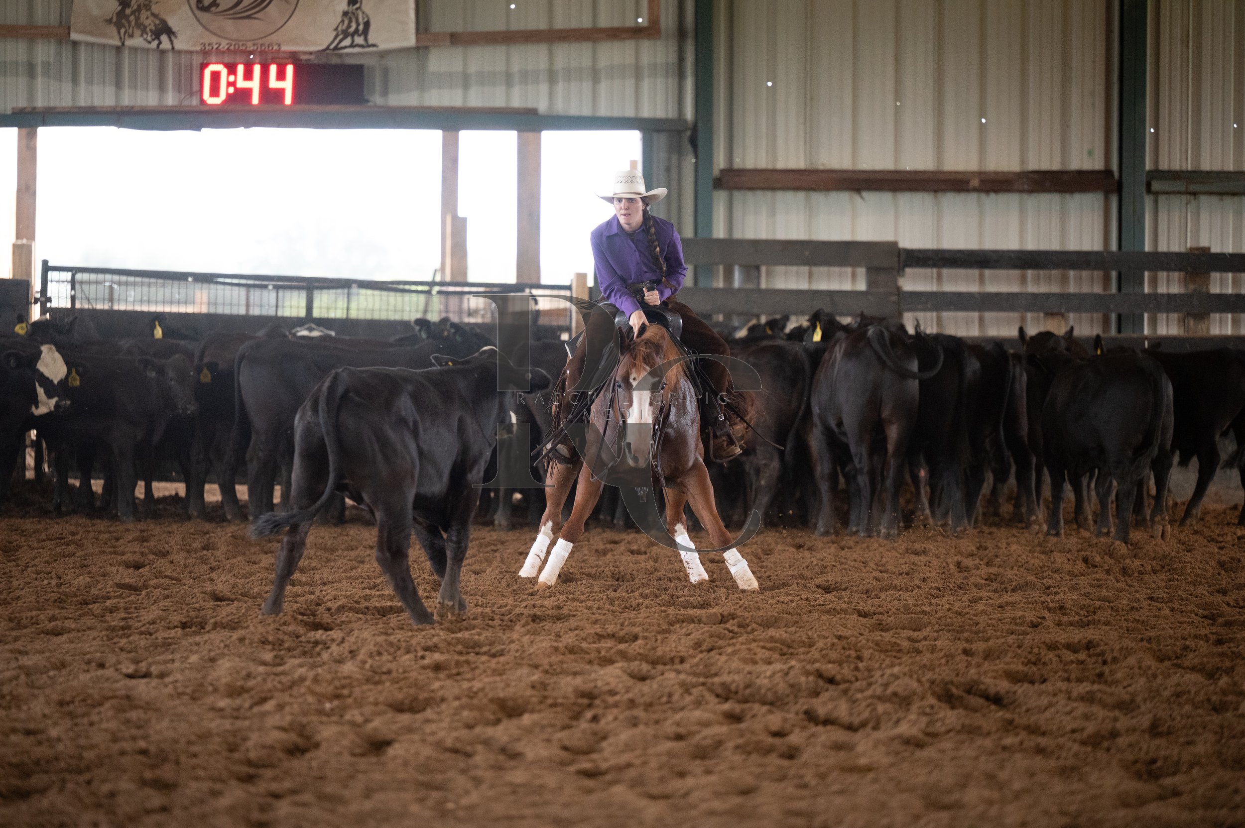 RHC_6310.jpg