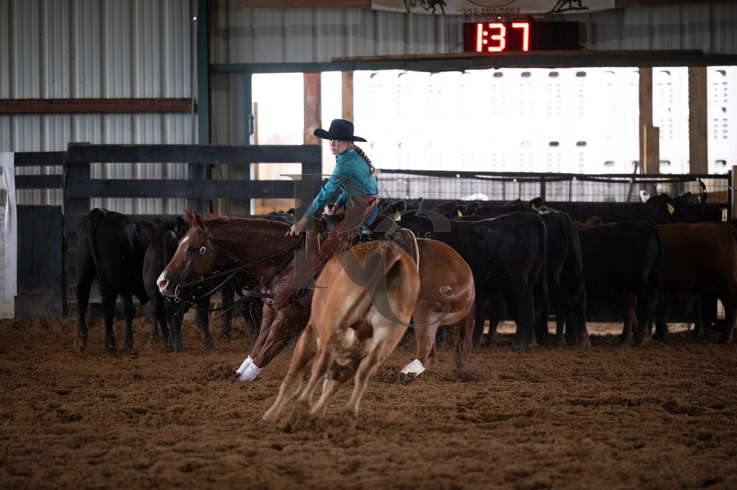 RHC_0380.jpg