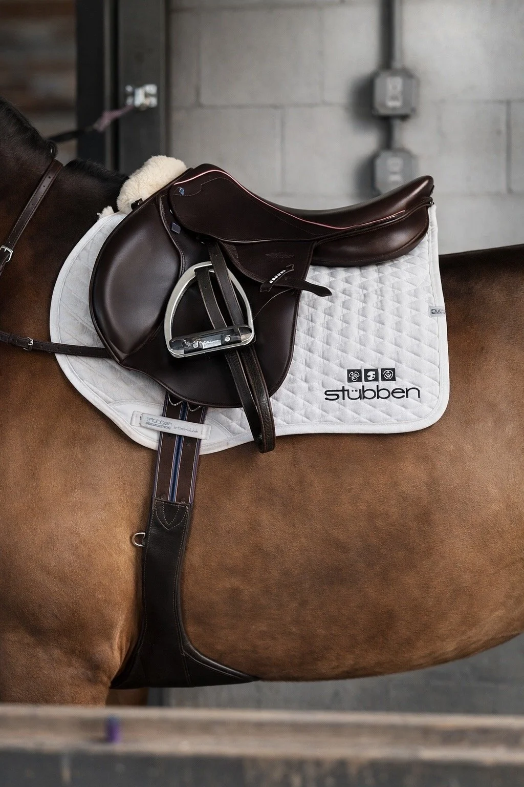 Close-up of a brown horse's back with a white saddle pad, a black saddle, and a girth strap, in an indoor riding arena.