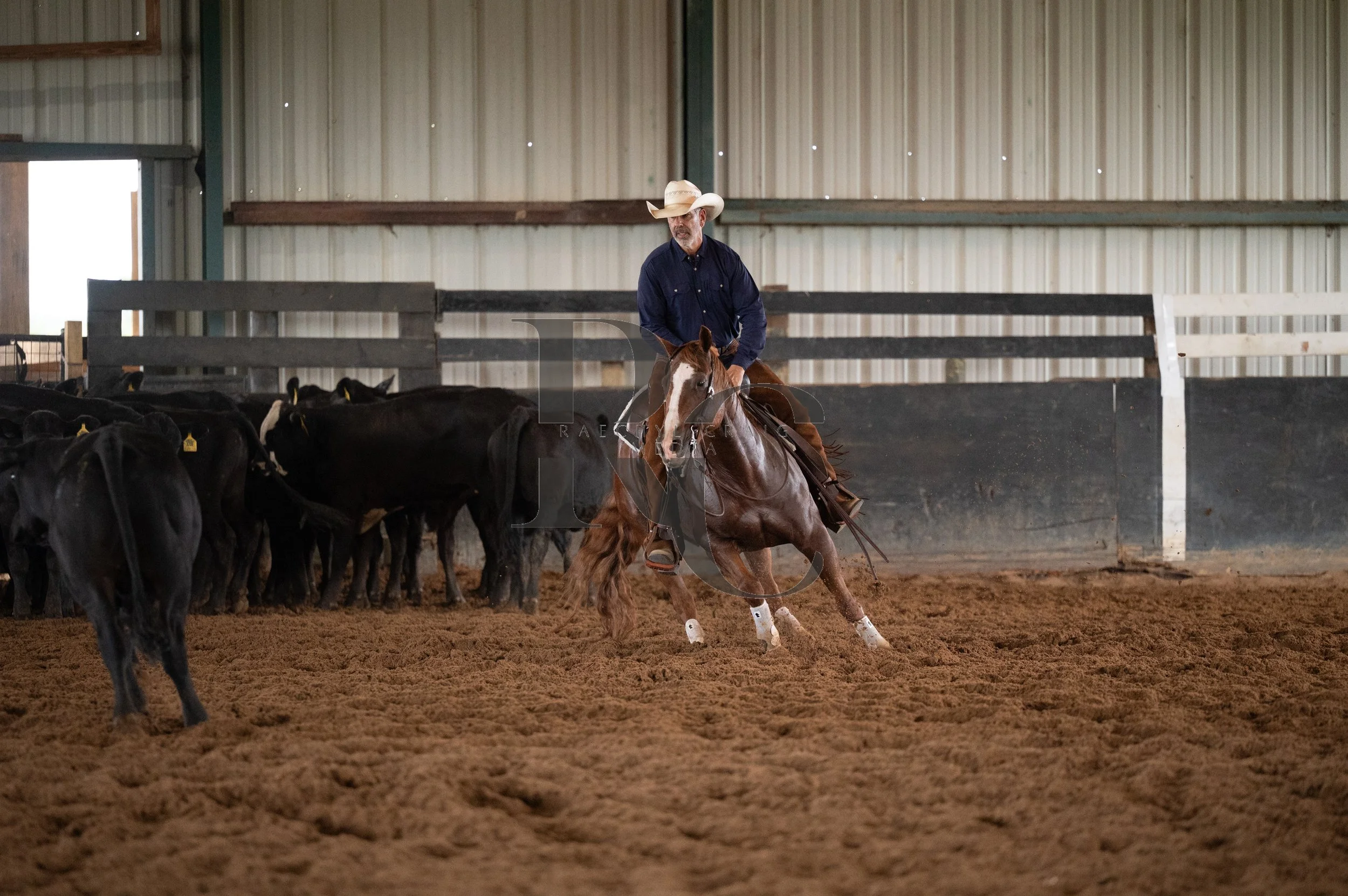 RHC_5686.jpg