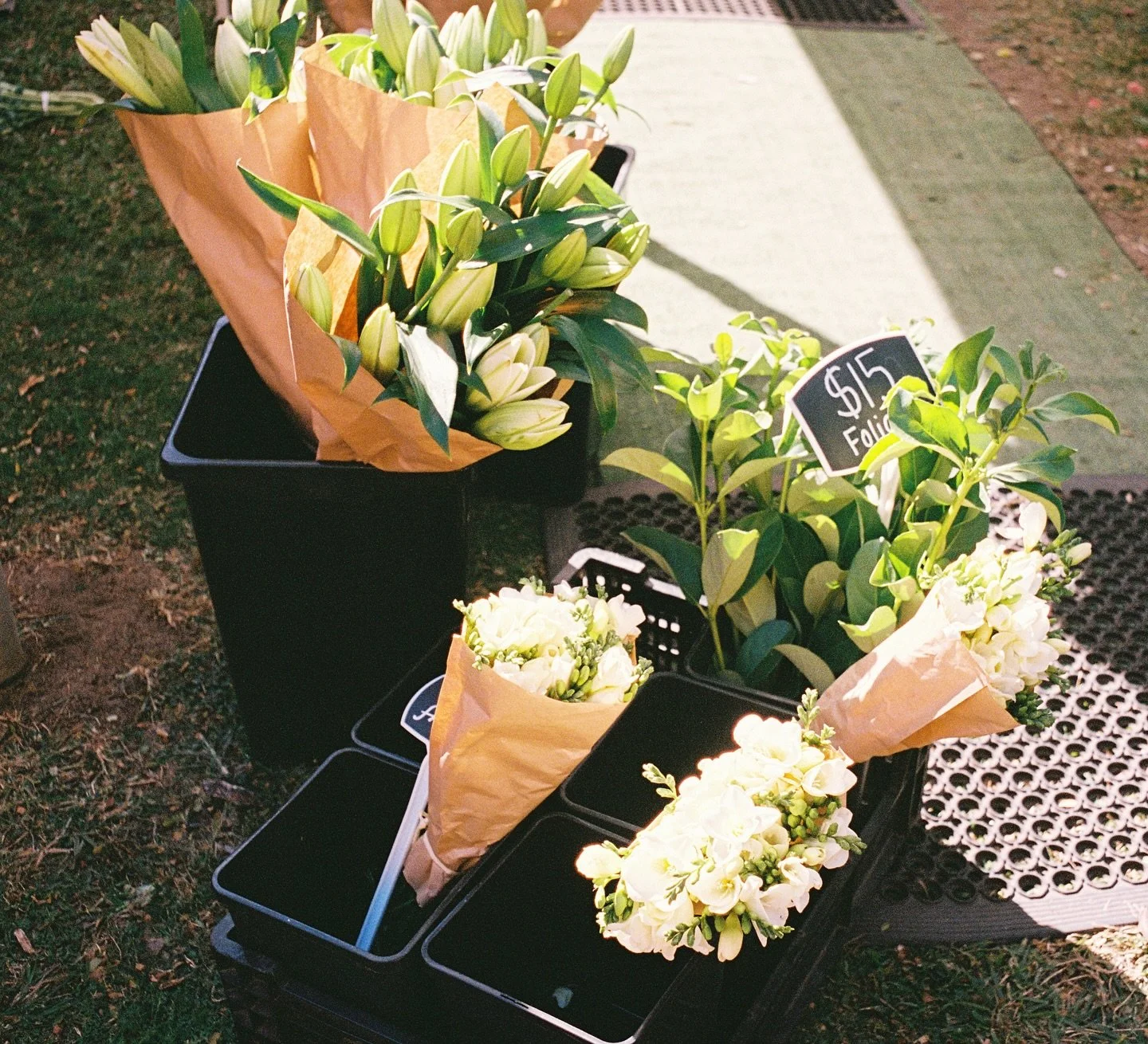 flowers on kodak gold 🎞️

pentax asahi sl 
35mm super takumar 

.
.
.
.
.
.
.
#film
#filmcommunity 
#filmforever 
#filmphotography
#kodak 
#kodakfilm 
#kodakgold
#kodakgold200
#kodakultramax
#portra400
#pentax
#35mm 
#35mmfilm 
#35mmfilmphotography 