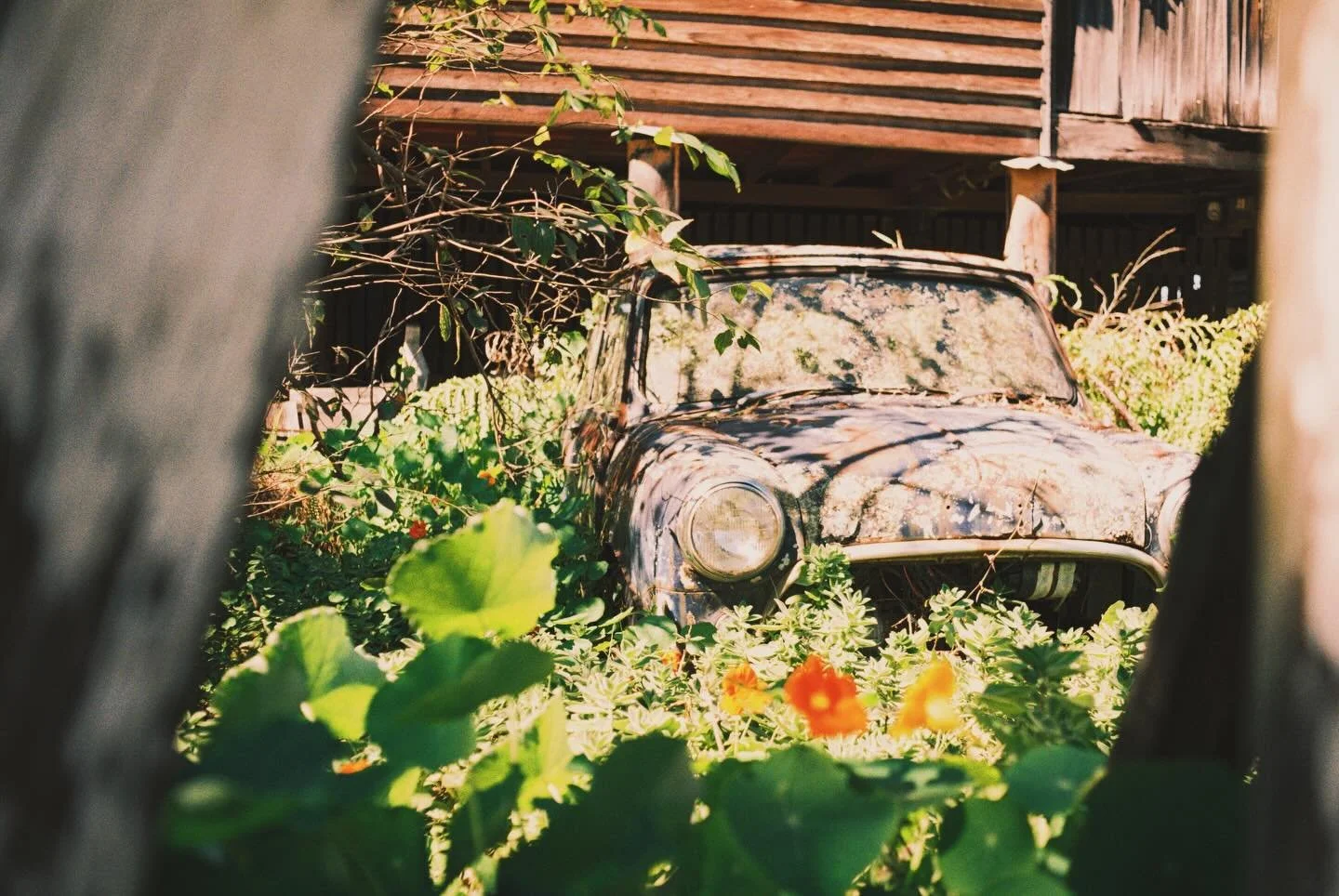 photo walk roll part II

.
.
.
.
.
.
#film
#filmphotography 
#doubleexposurephotography 
#shootfilm
#filmcommunity