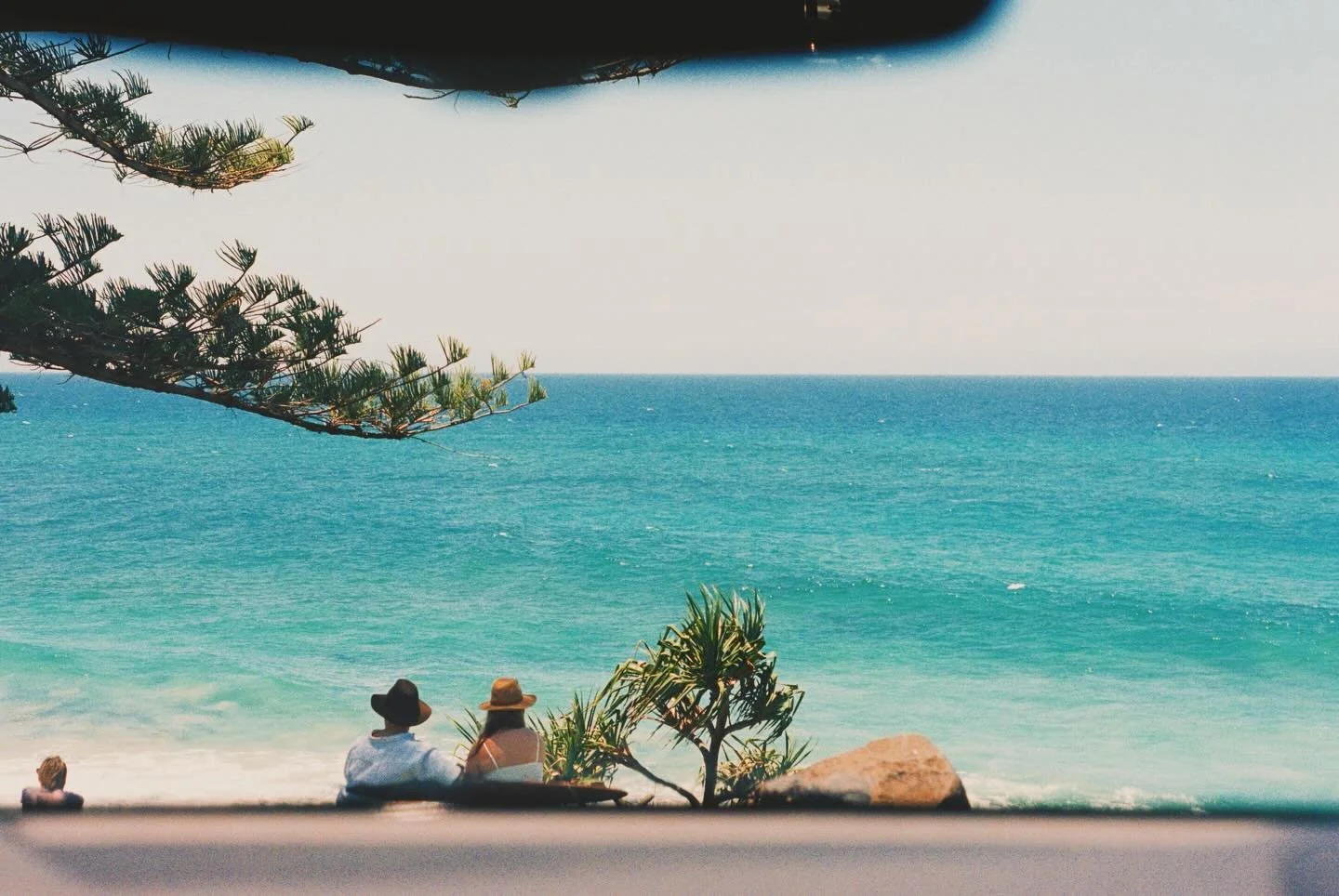 these colours on film 🌴

&bull;
&bull;
&bull;
&bull;
#film 
#portra
#kodak
#shotonfilm
#35mmfilm