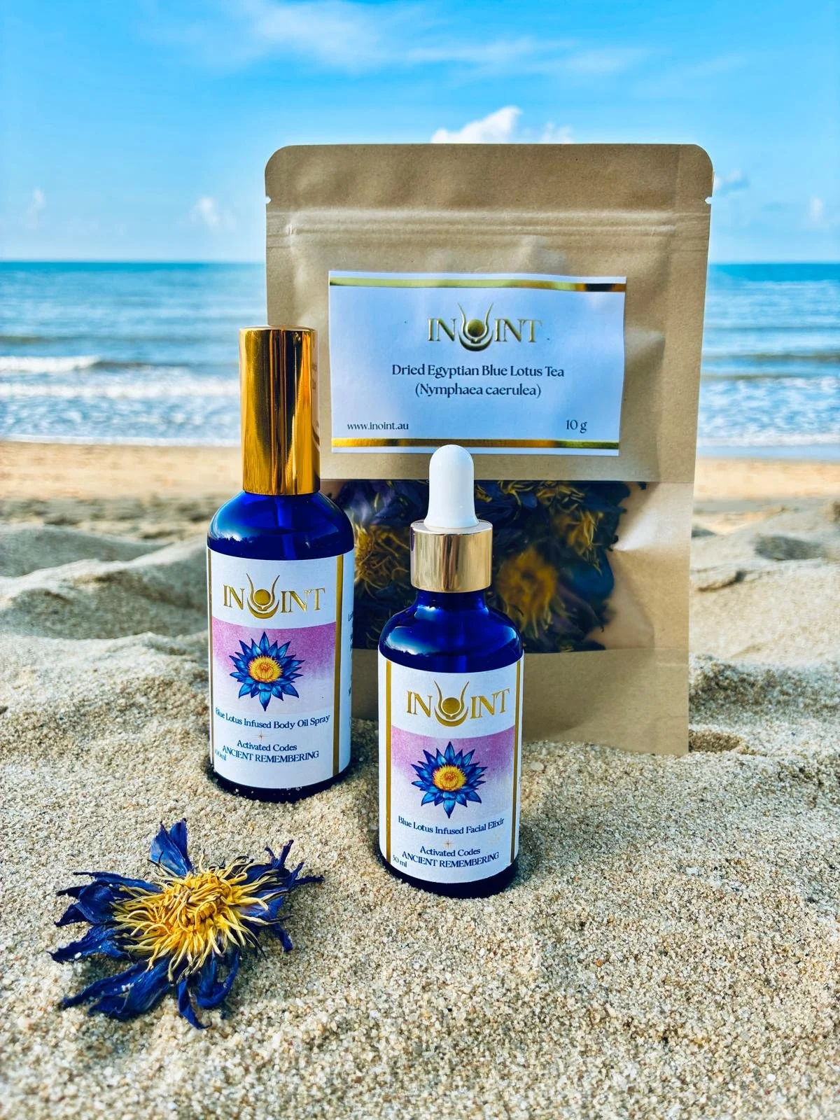 INOINT Australia | Blue Lotus Collection | Beach Product Campaign 2025.jpeg