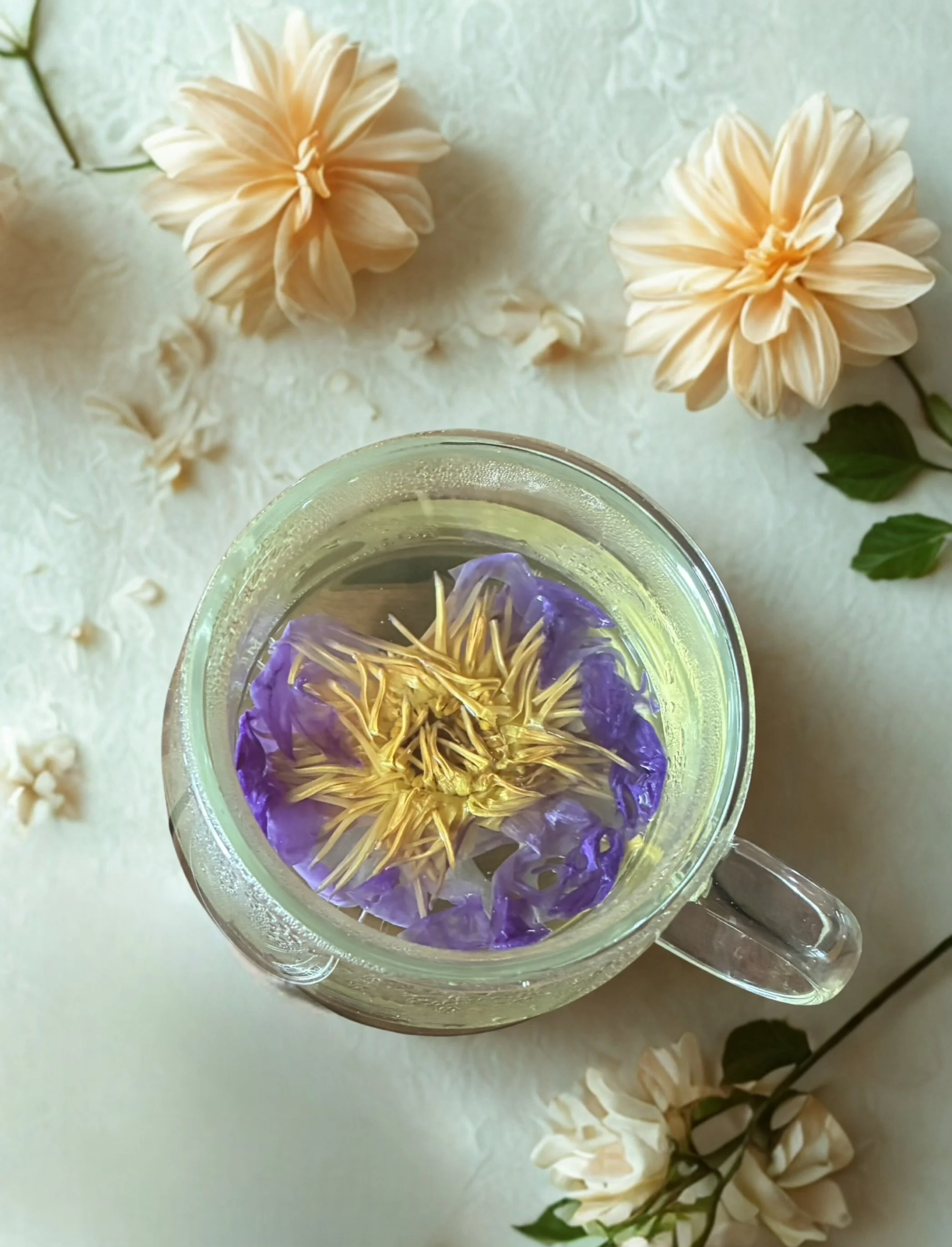 photo-output.jpeg (Copy)