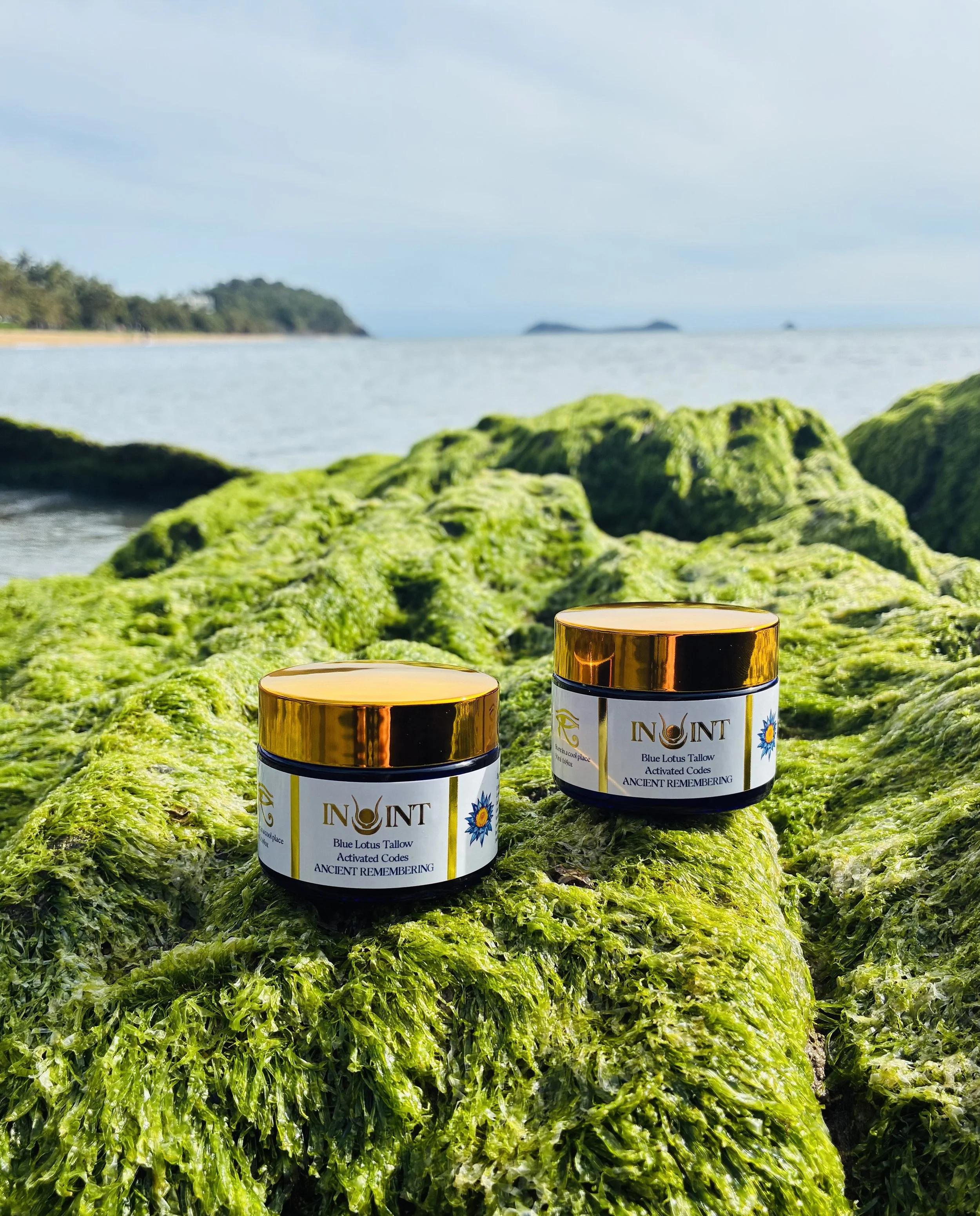 DUO Tallow Pack