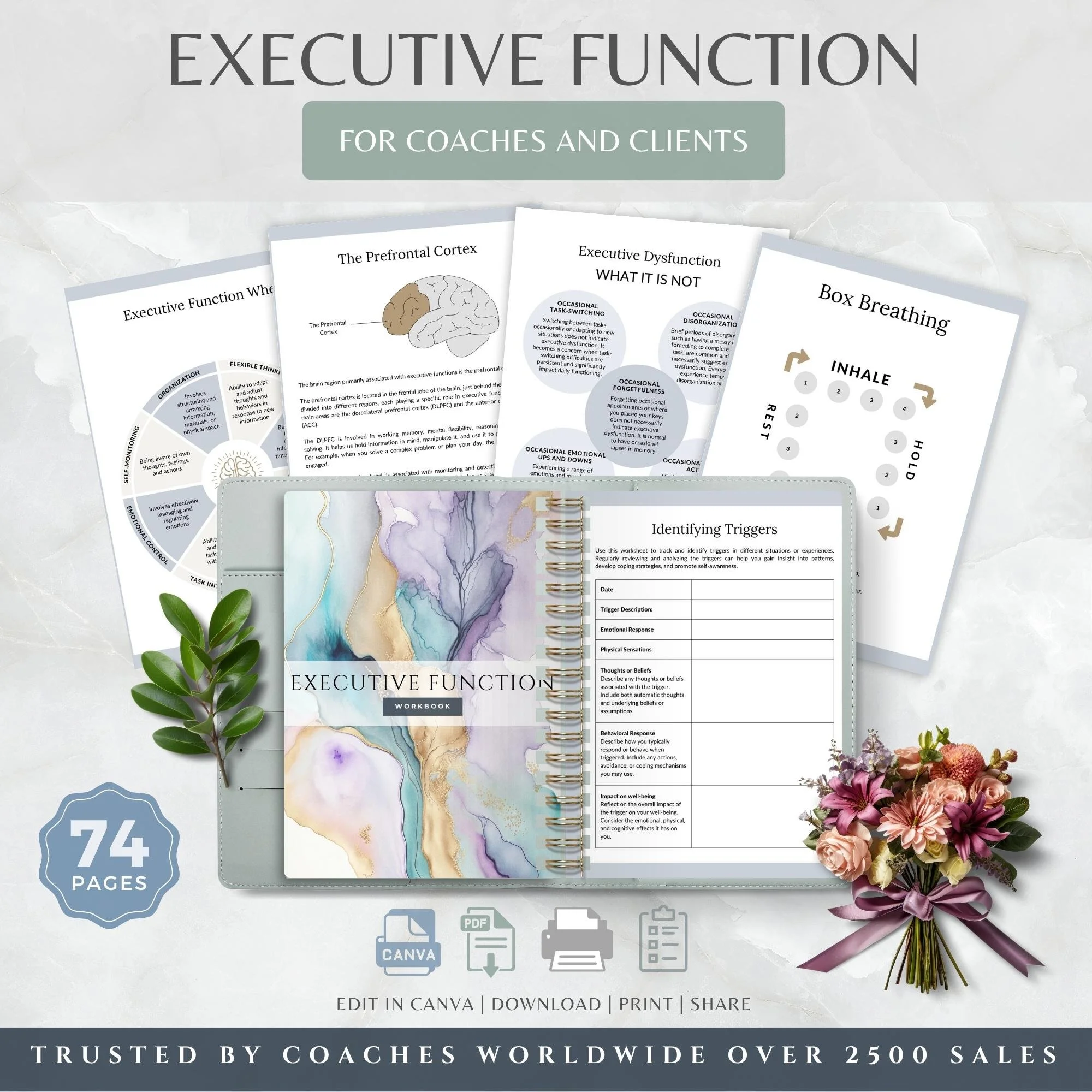 Executive Function Workbook & Planner