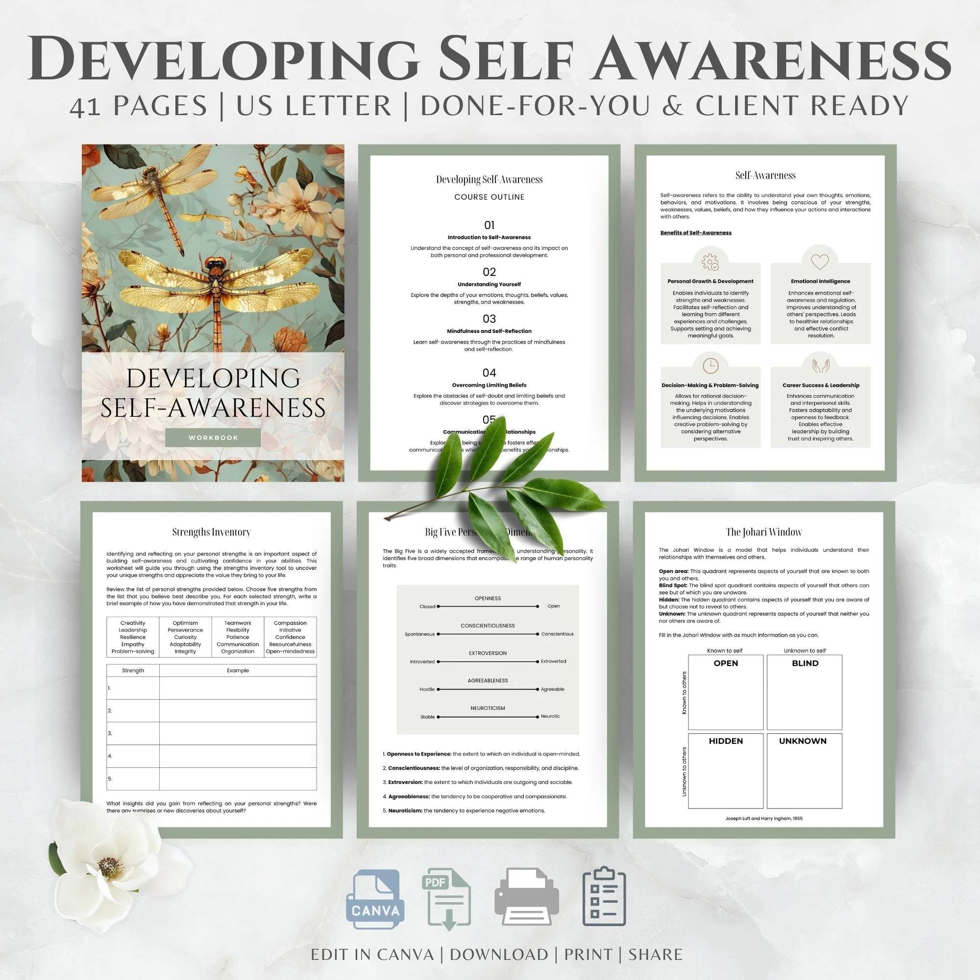 Self Awareness Workbook