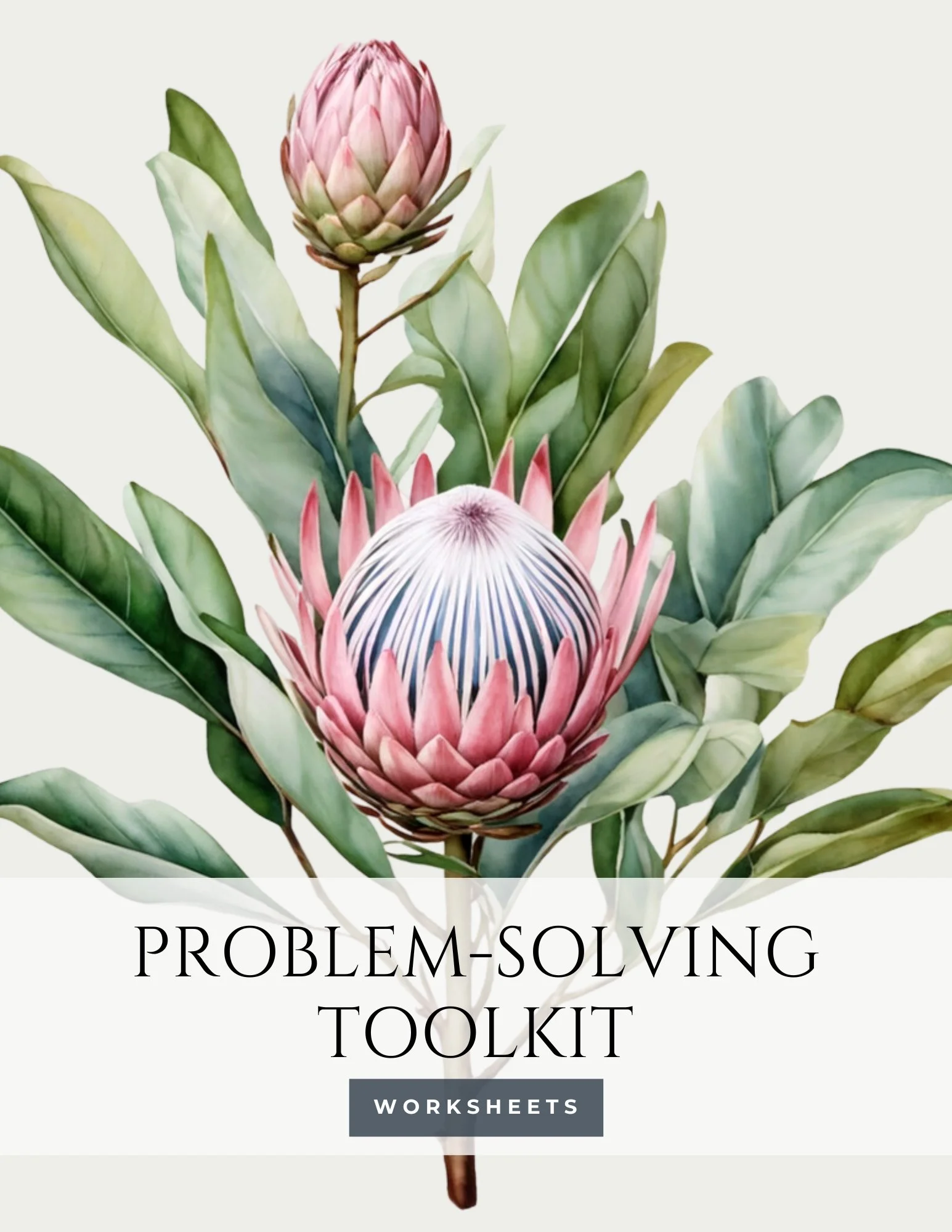 Banded - Problem Solving Workbook.jpg