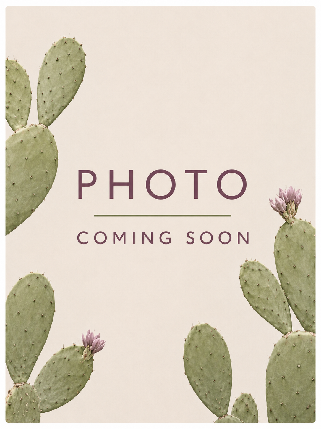 A placeholder image with a "photo coming soon" message.