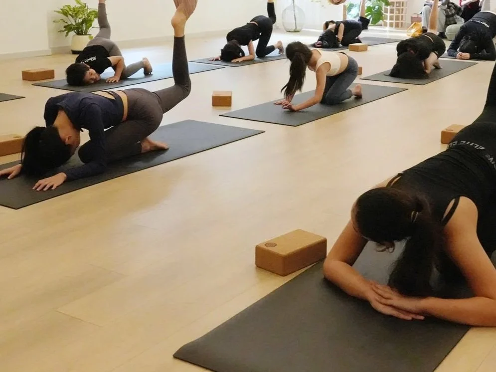 What is difference between Aerial Yoga and Mat Yoga