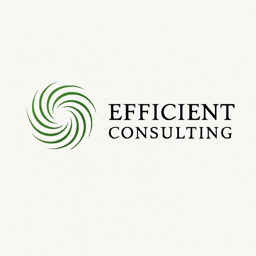 Efficient Consulting
