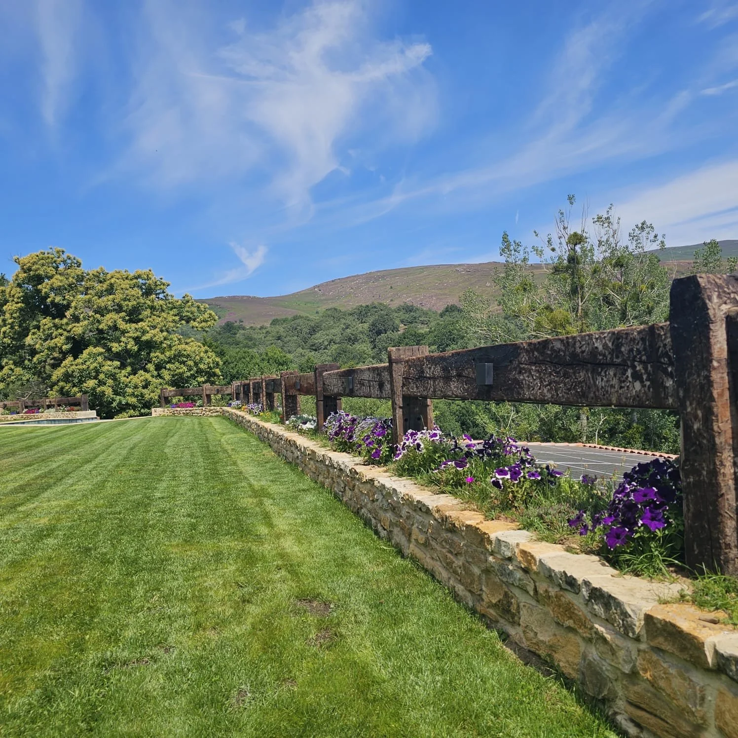 PHOTO-2025-04-23-13-37-53 3.jpg