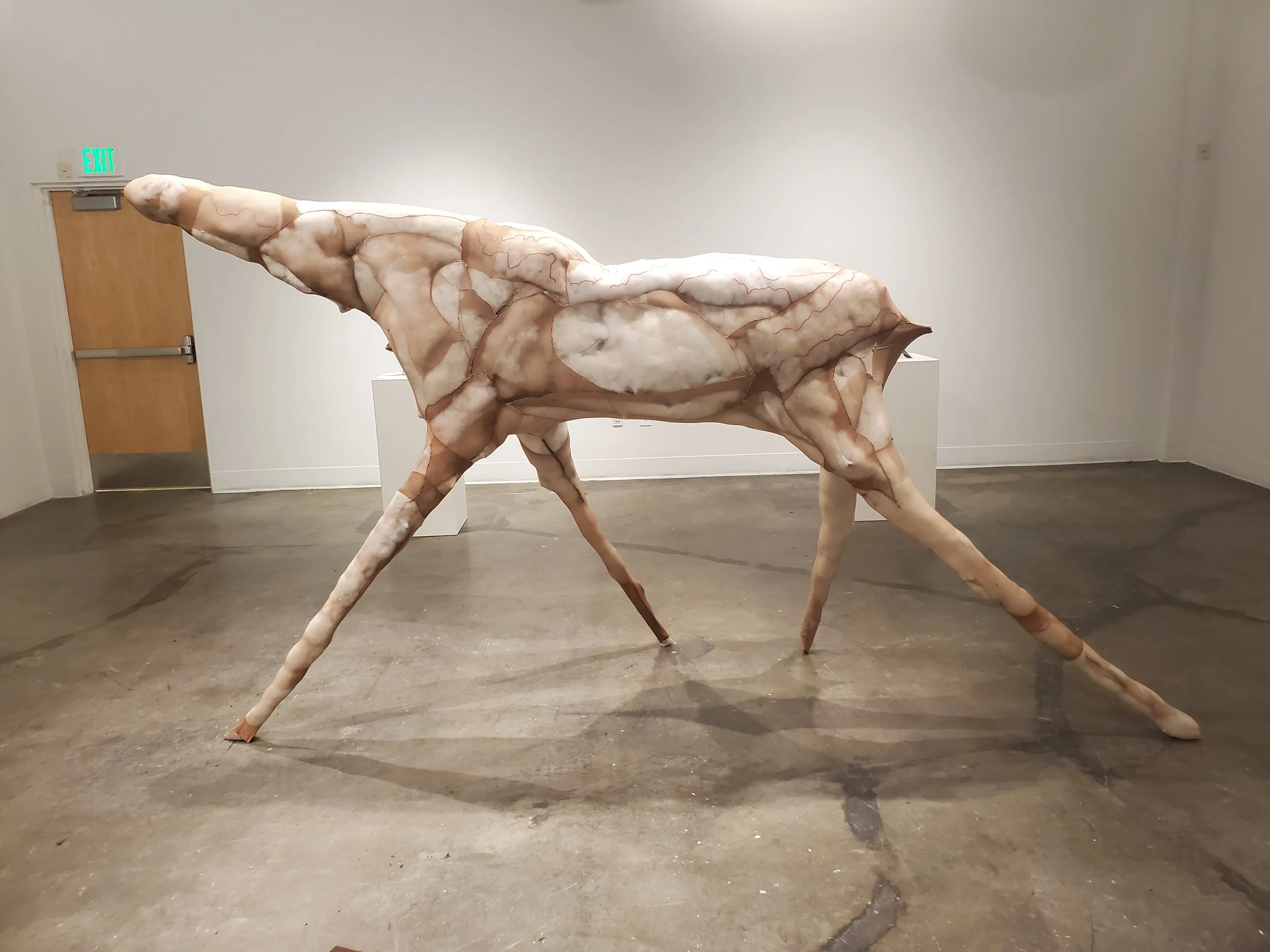 Accumulations: 6' x 3' x 16'