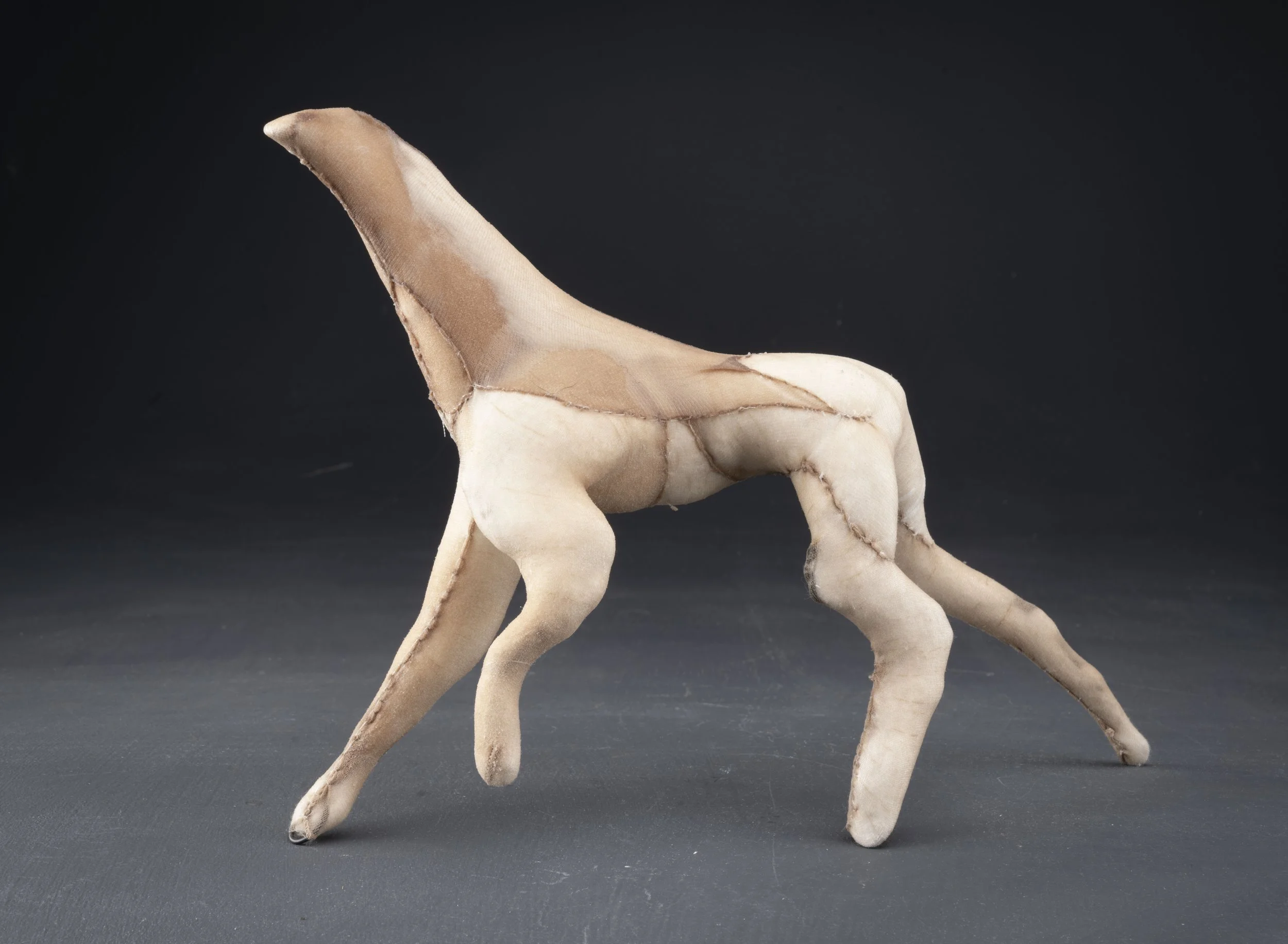 Lunge