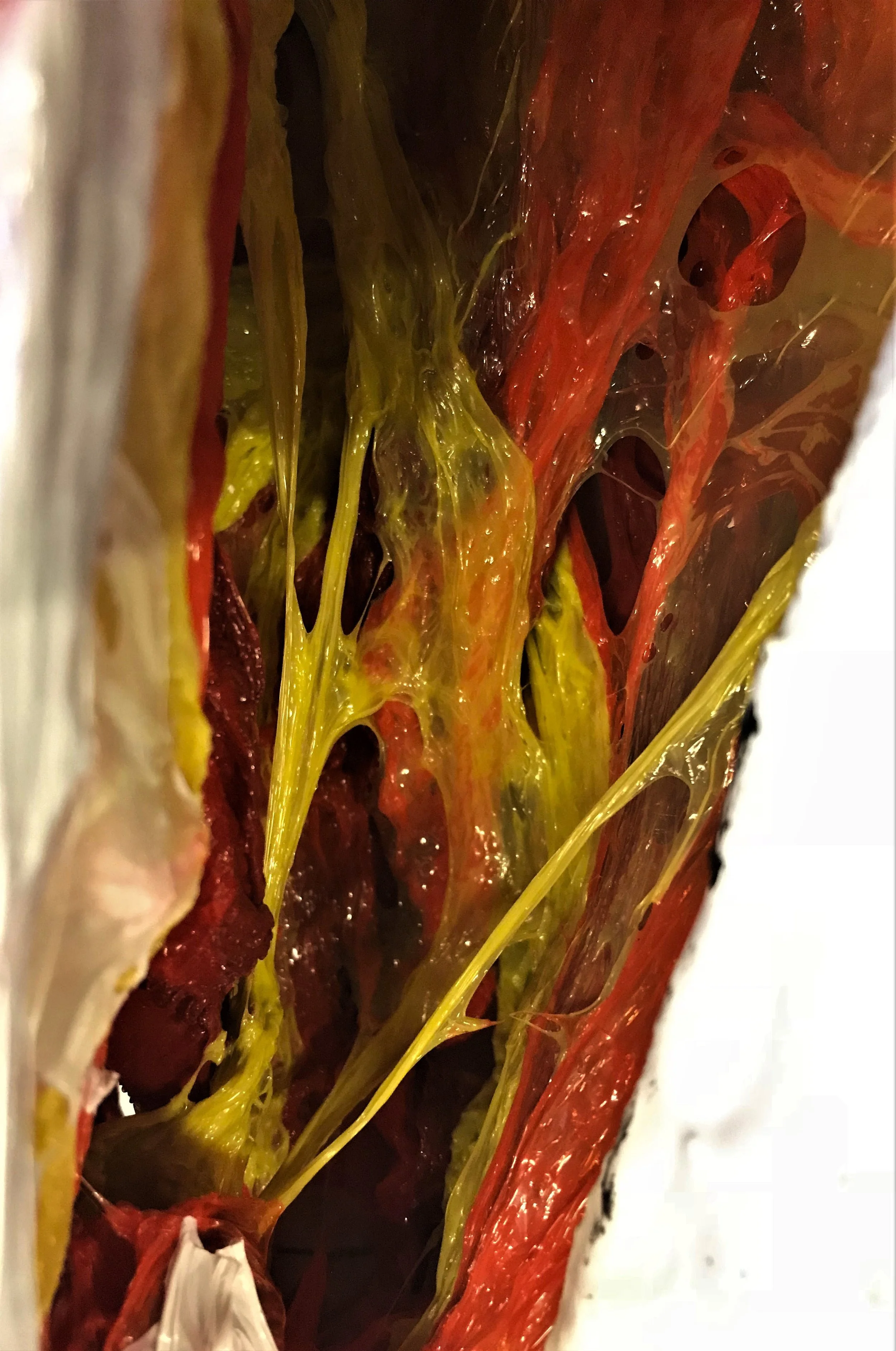 Cellophane Wound 2
Melted cellophane