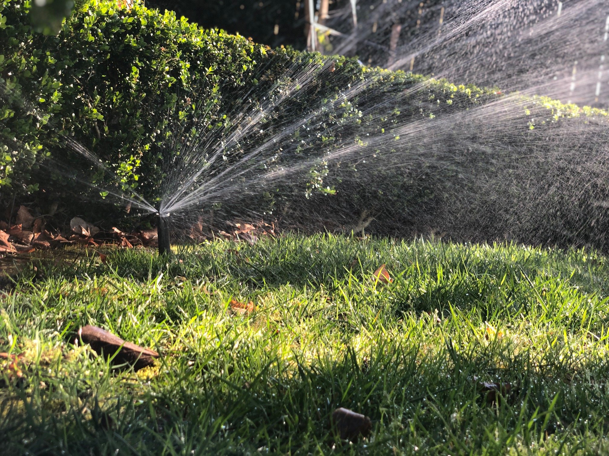 Irrigation Health Check Auckland