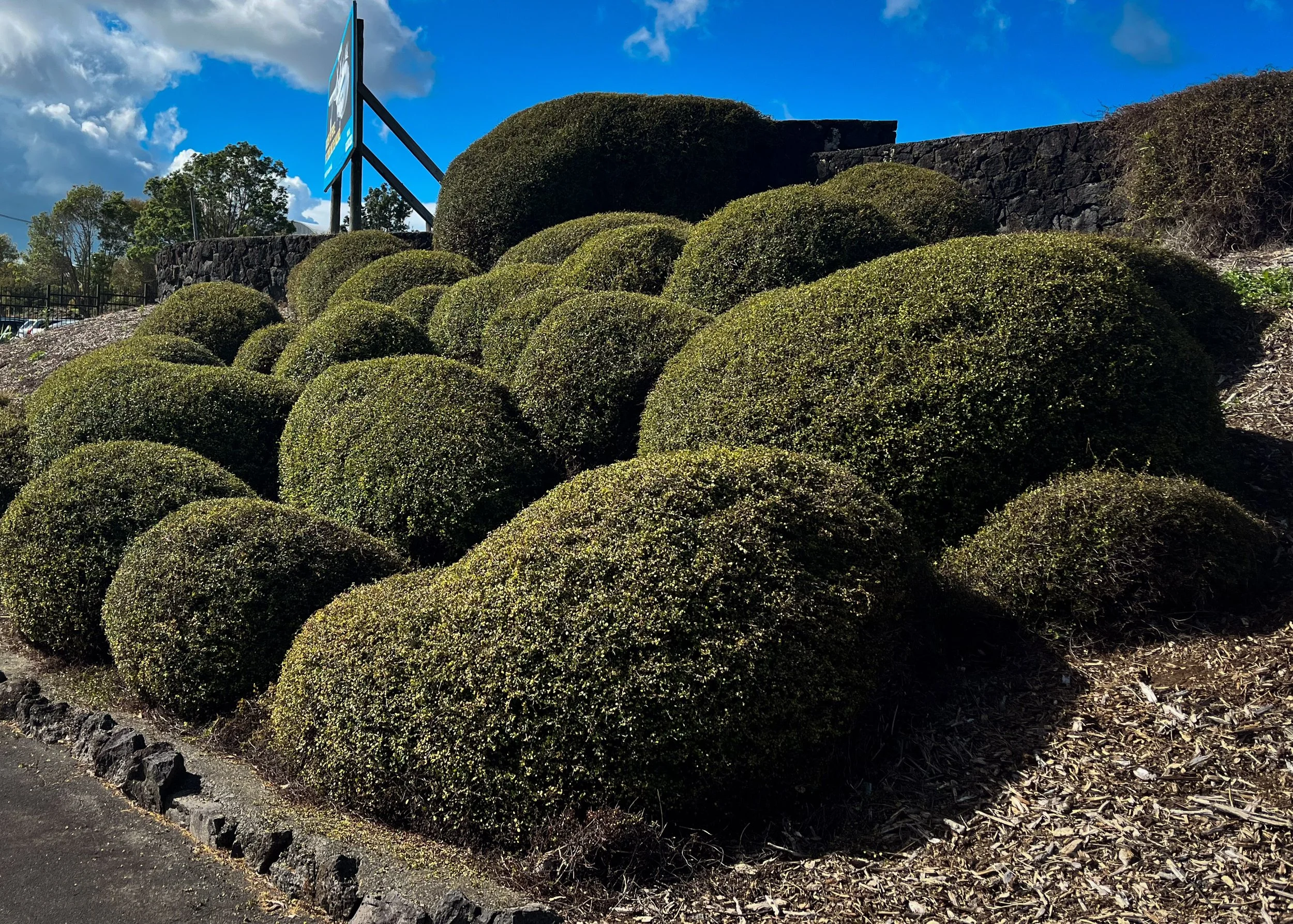 Jardin Design-1-13.jpg