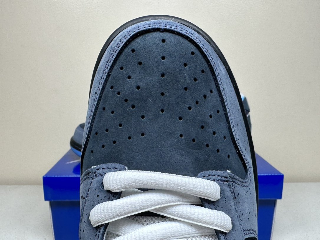 8815fc1b.jpg