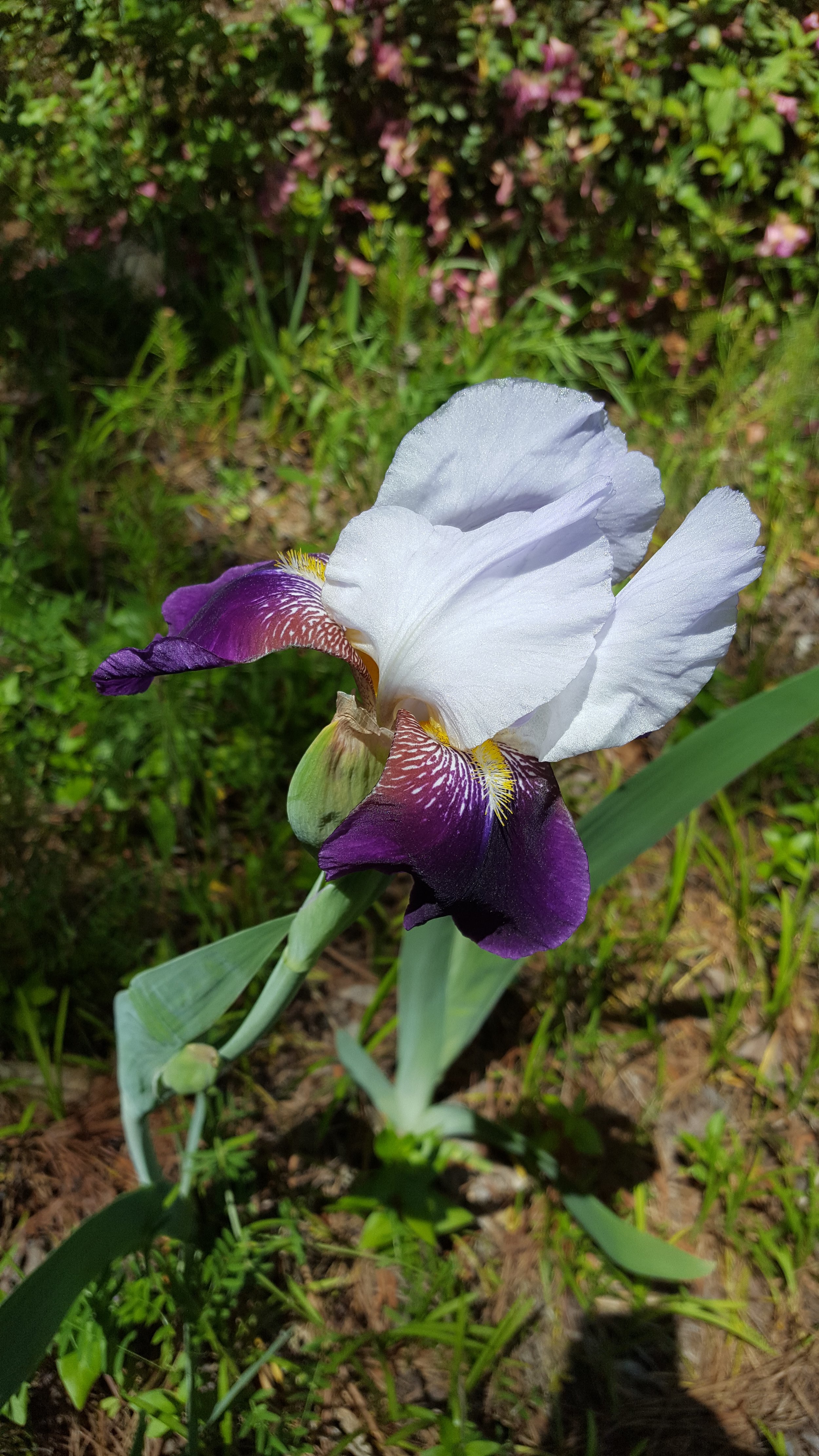 20180419_141013.jpg