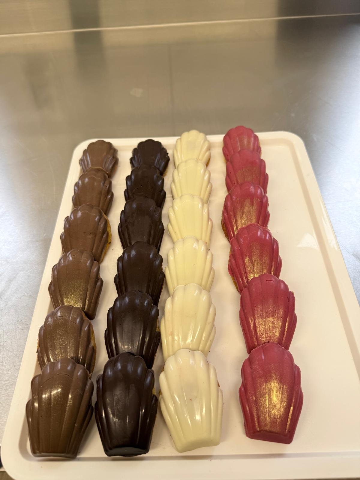 WhatsApp Image 2026-02-03 at 16.14.11.jpeg