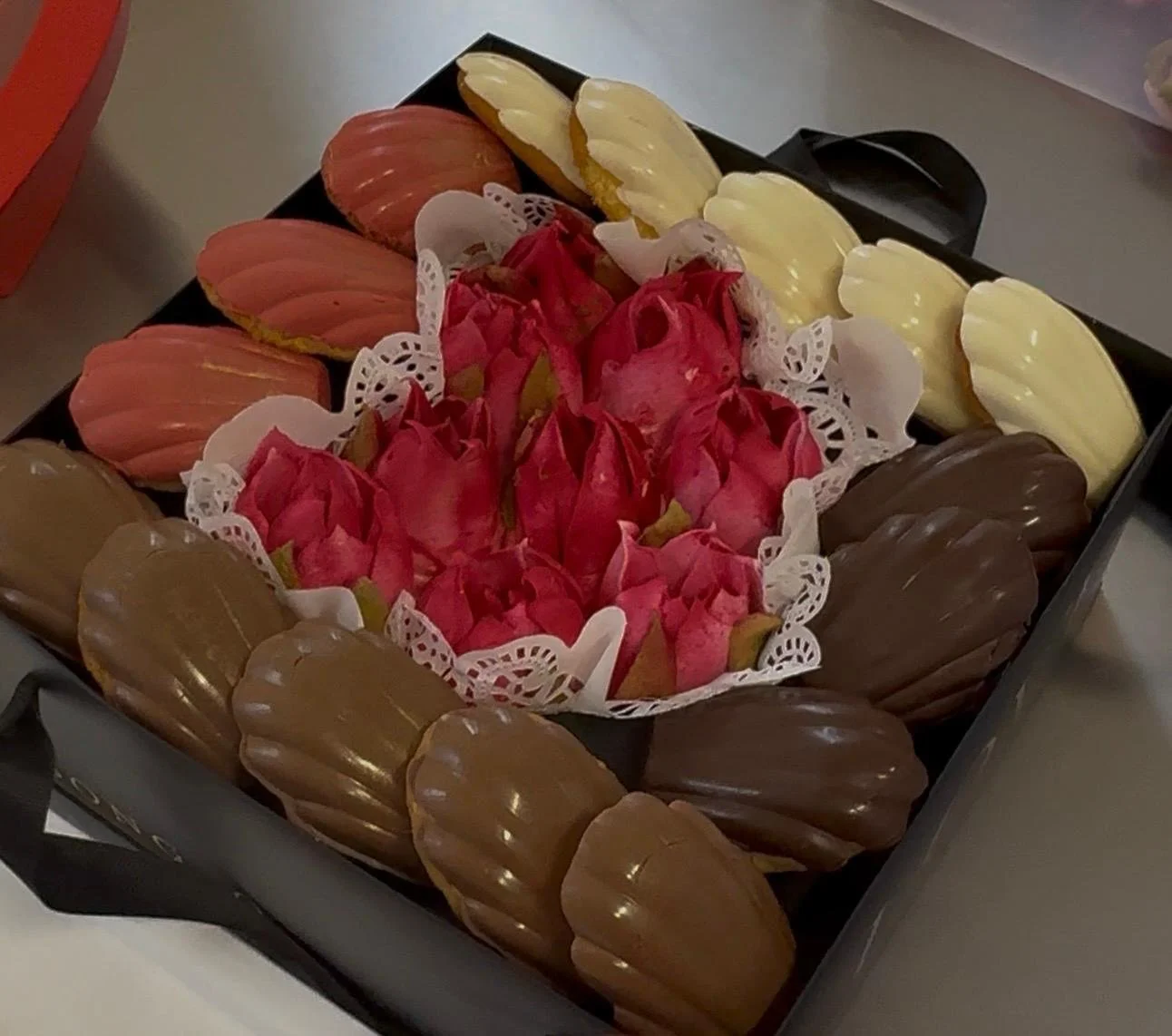 WhatsApp Image 2026-02-03 at 16.24.48.jpeg