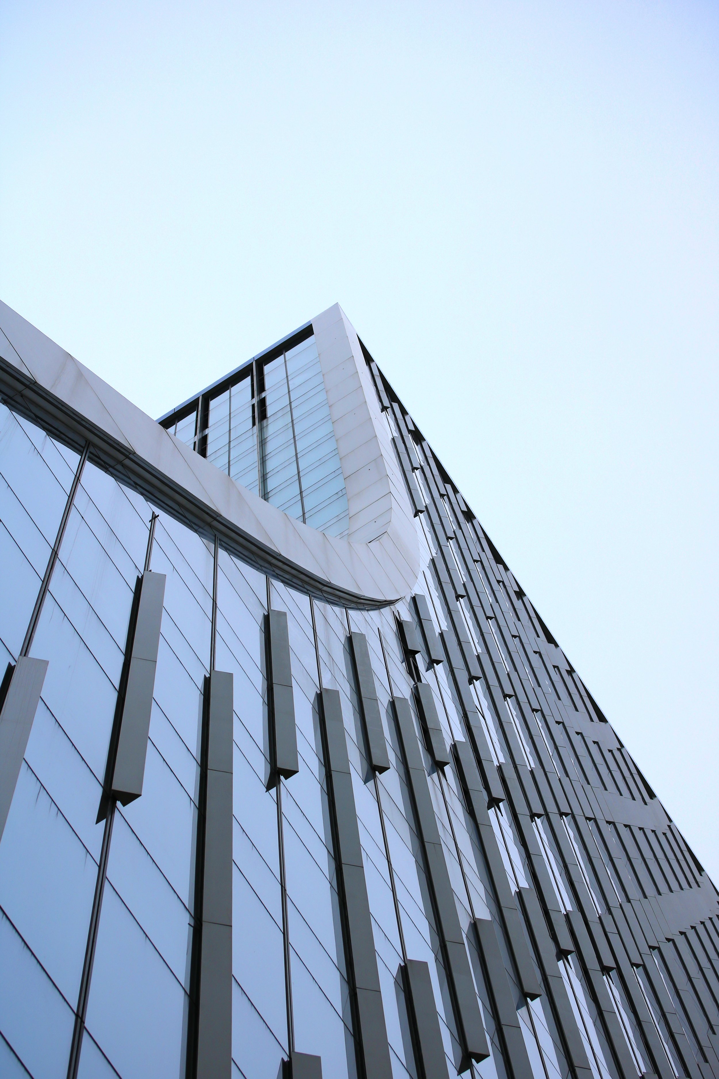 bST image 7.jpg