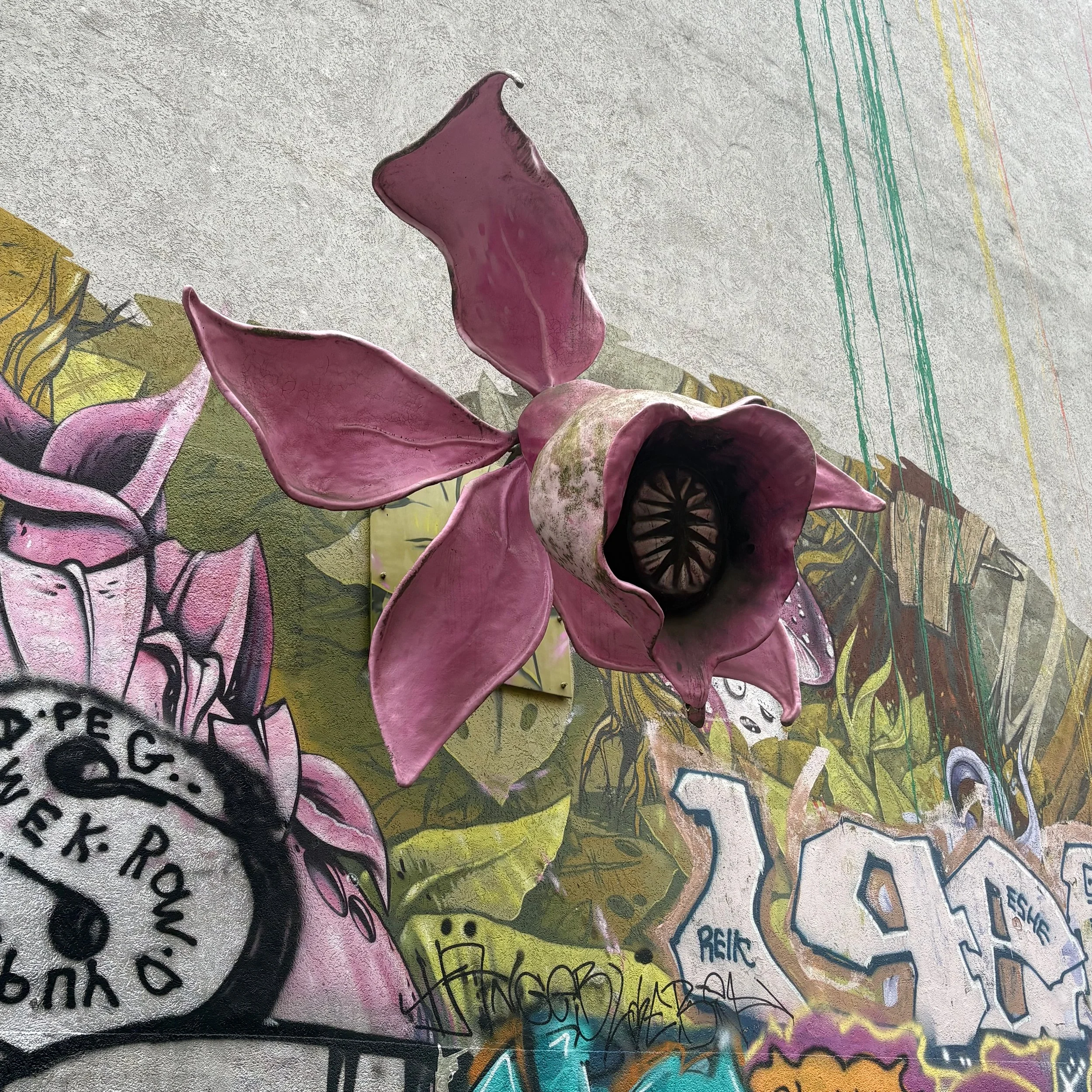 Large pink flower street art on a graffiti-covered wall