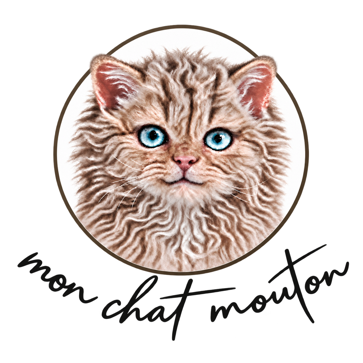 Mon chat mouton