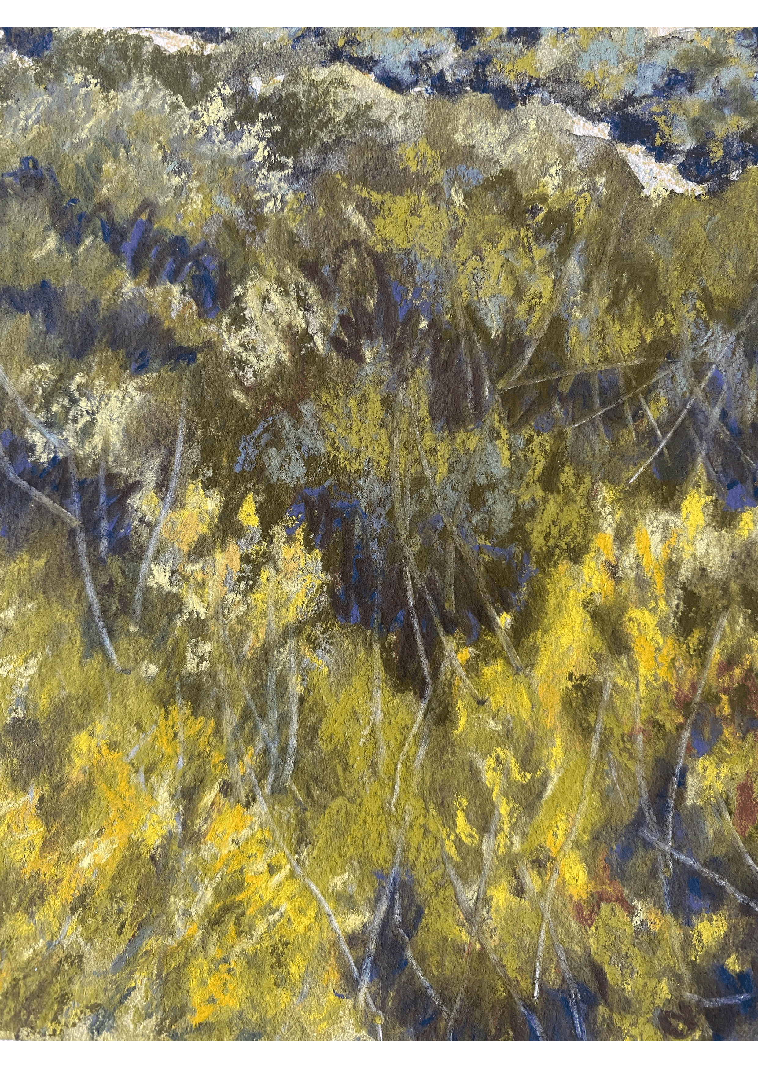 zoom alando vendu.png