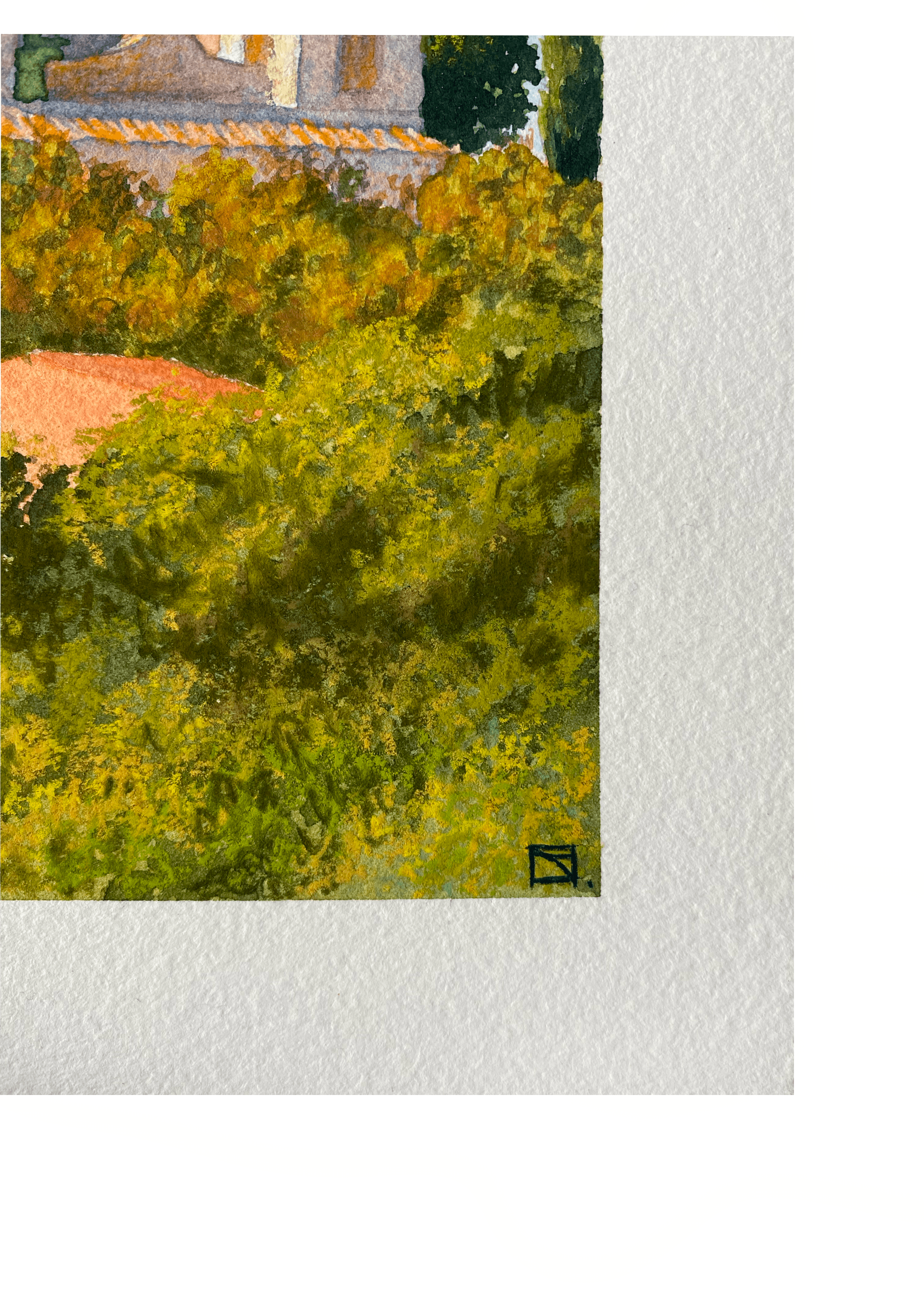 zoom signature pigna à vendre.png