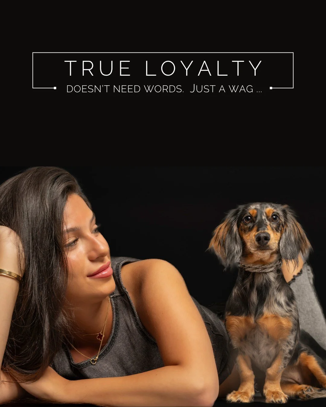 If loyalty had a sound, it would be the soft thump of a tail on the floor every time you walk into the room.

That gentle rhythm of joy reminds us that love doesn&rsquo;t always need to be loud to be felt deeply.

#PoseAPaw #DogPhotography #PAWrentLi