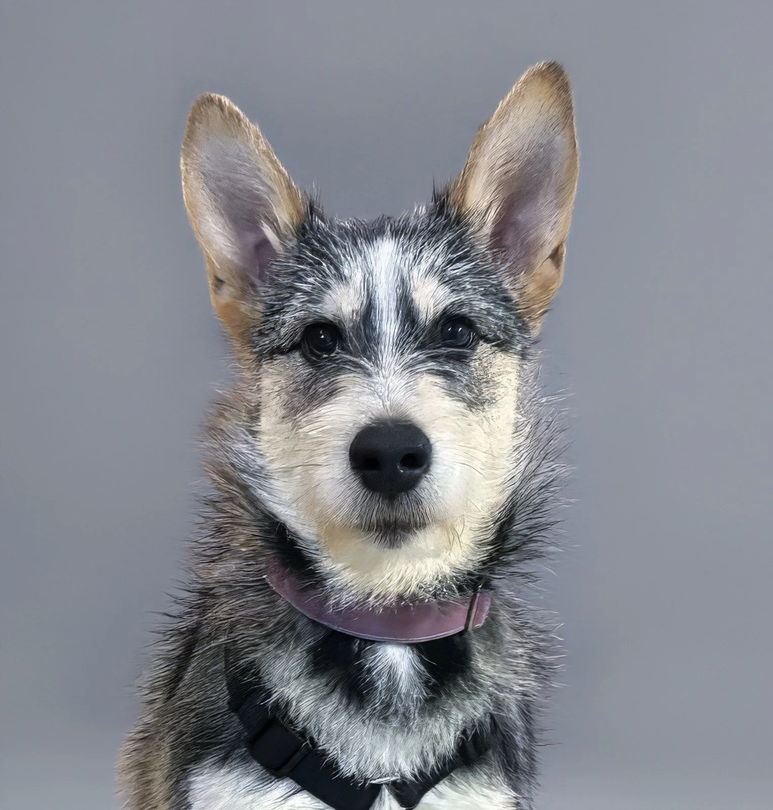 Untitled 36-topaz-denoise-color-lighting-upscale-2x.jpeg