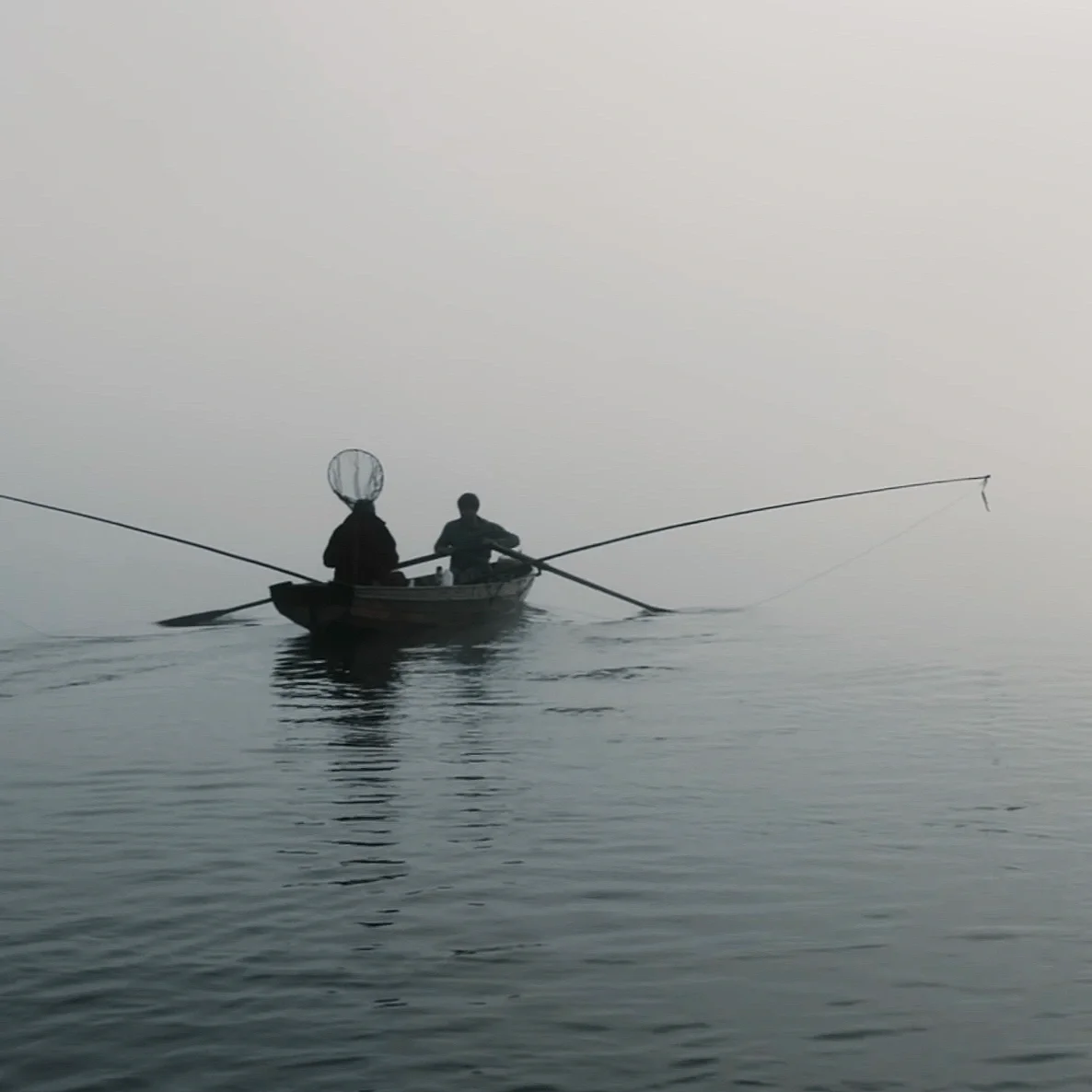 Investigating the Health of our Lakes