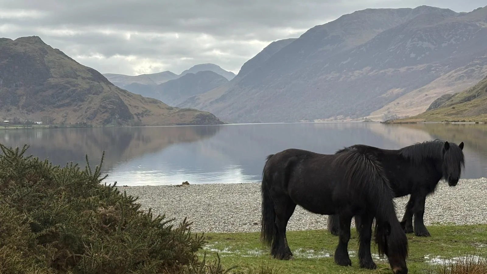 UU withdraws application